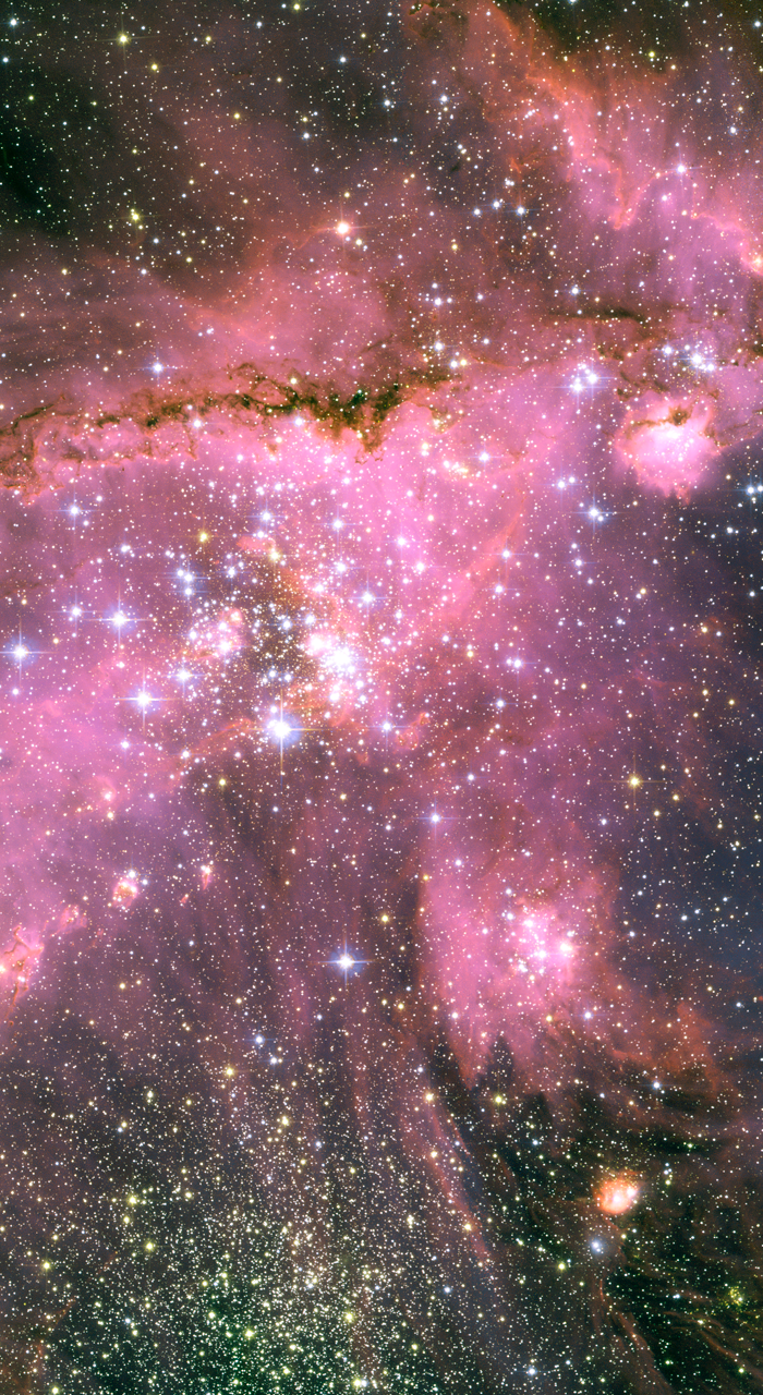 700x1280   35+ обоев для телефона Hubble - Обезьяны в космосе