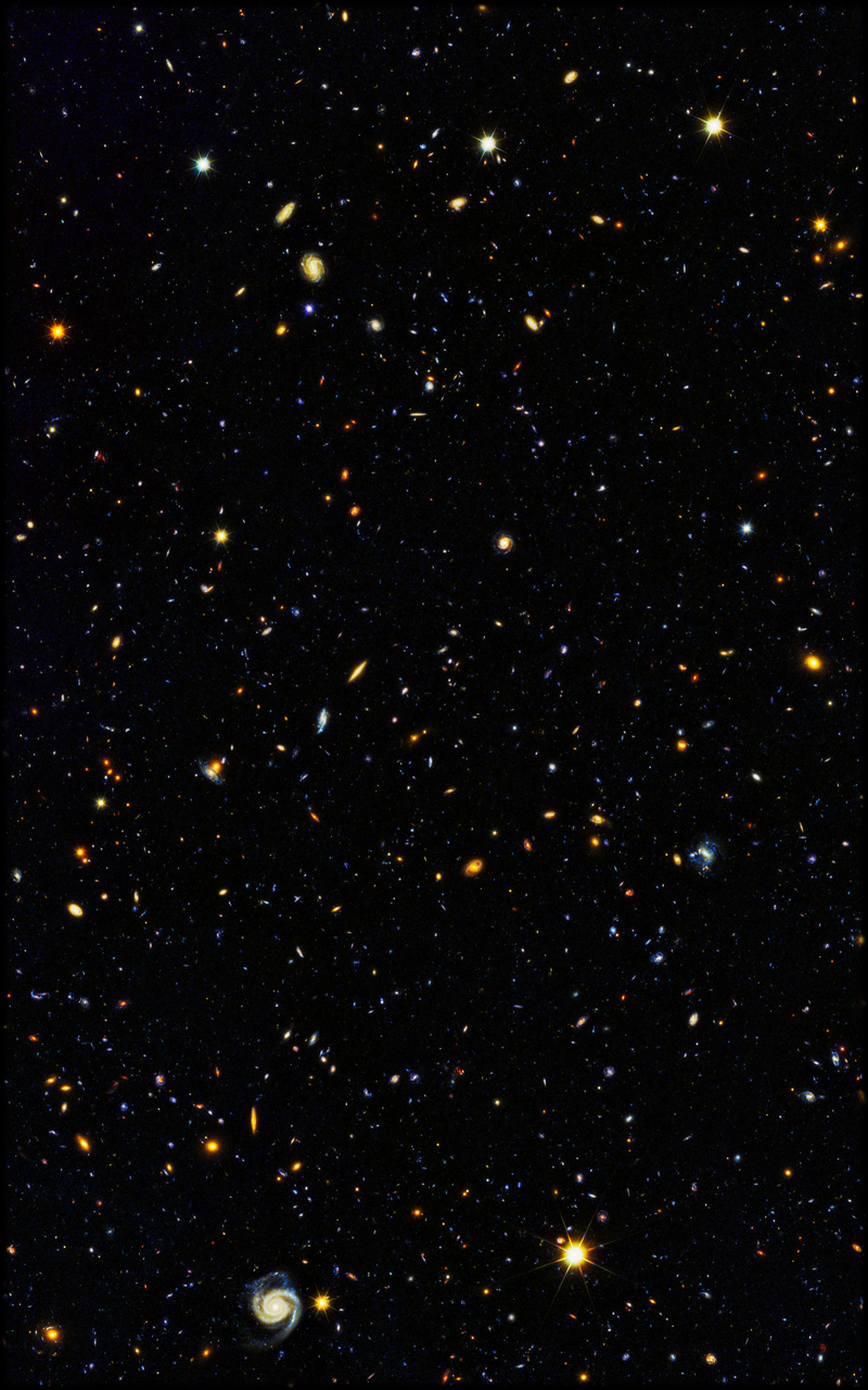 800x1280  HDUV ТОВАРЫ Hubble North Field 4K Обои для мобильного телефона 