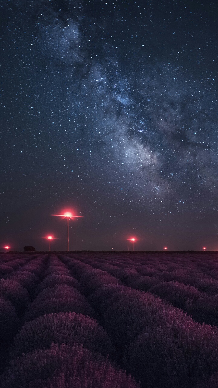 720x1280  background красивая красота поле галактика фонари метеоритный дождь природа ночь ночное небо растения кусты небо звезды обои мы сердце это обои iphone обои iphone розовые фонари красивые обои прекрасная красота красота backgro