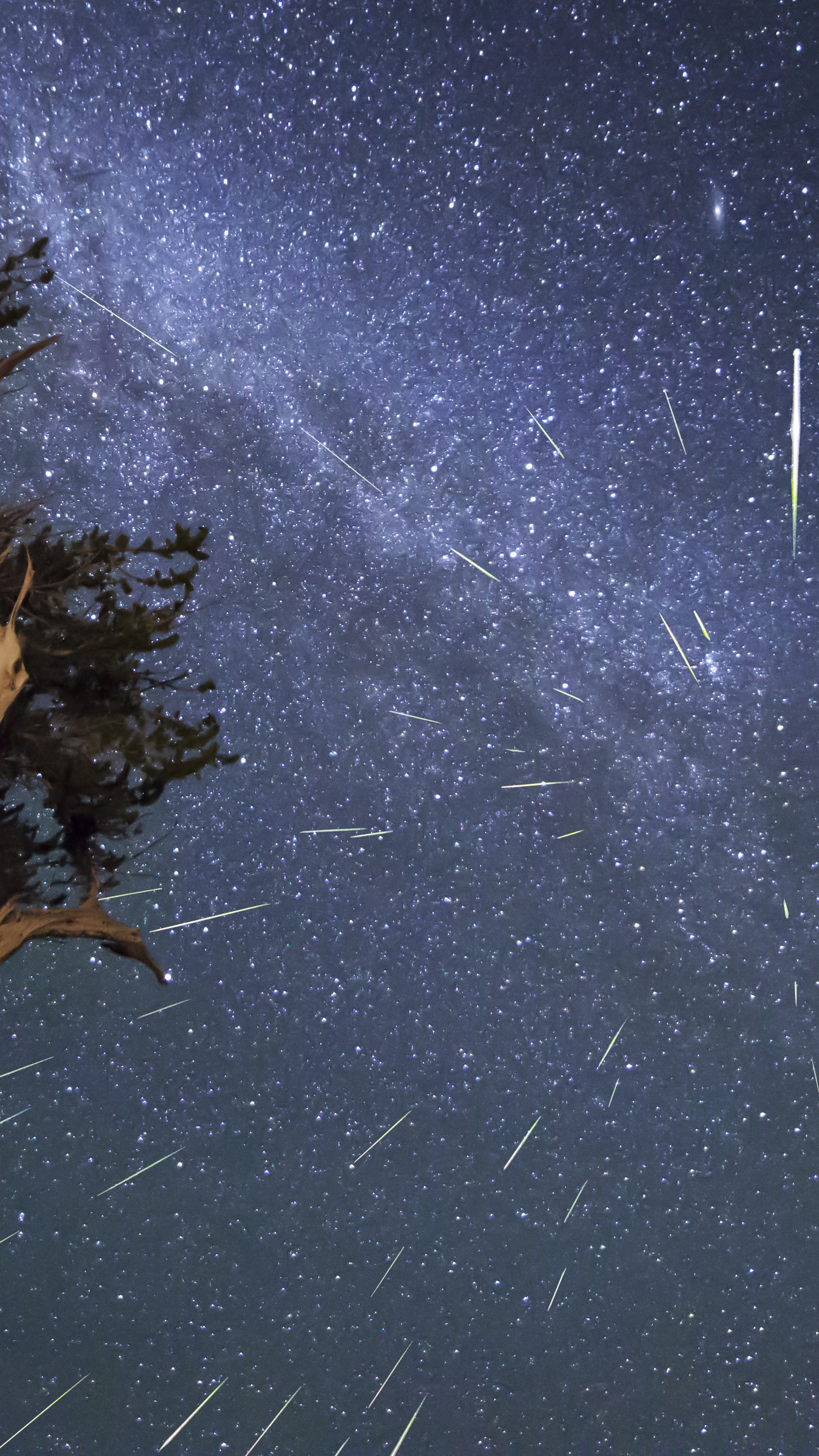 1350x2400   метеоритный дождь обои, опубликованные Zoey Cunningham