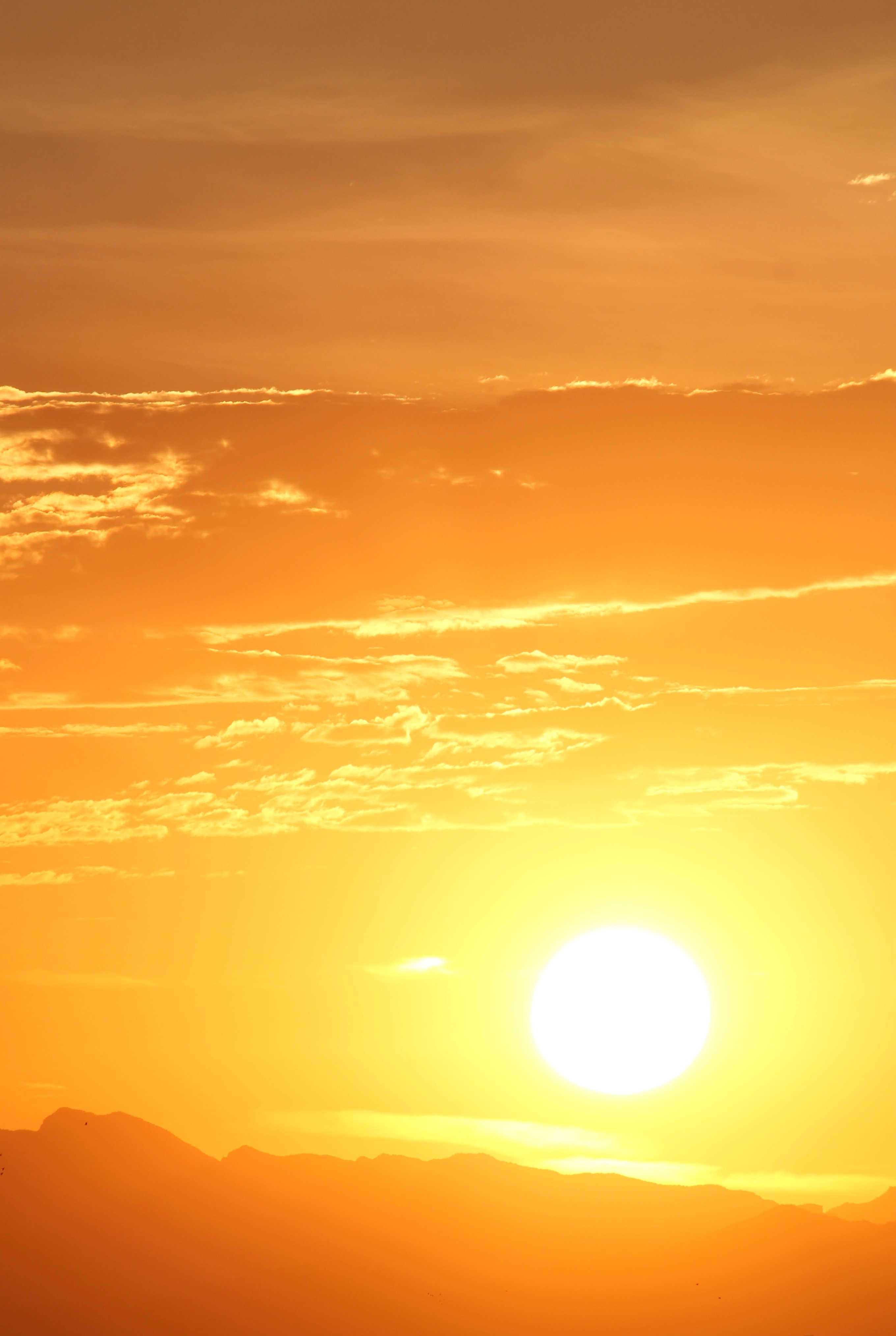 2720x4056  Sunset Phone Wallpapers - Top Free Sunset Phone Backgrounds - WallpaperAccess