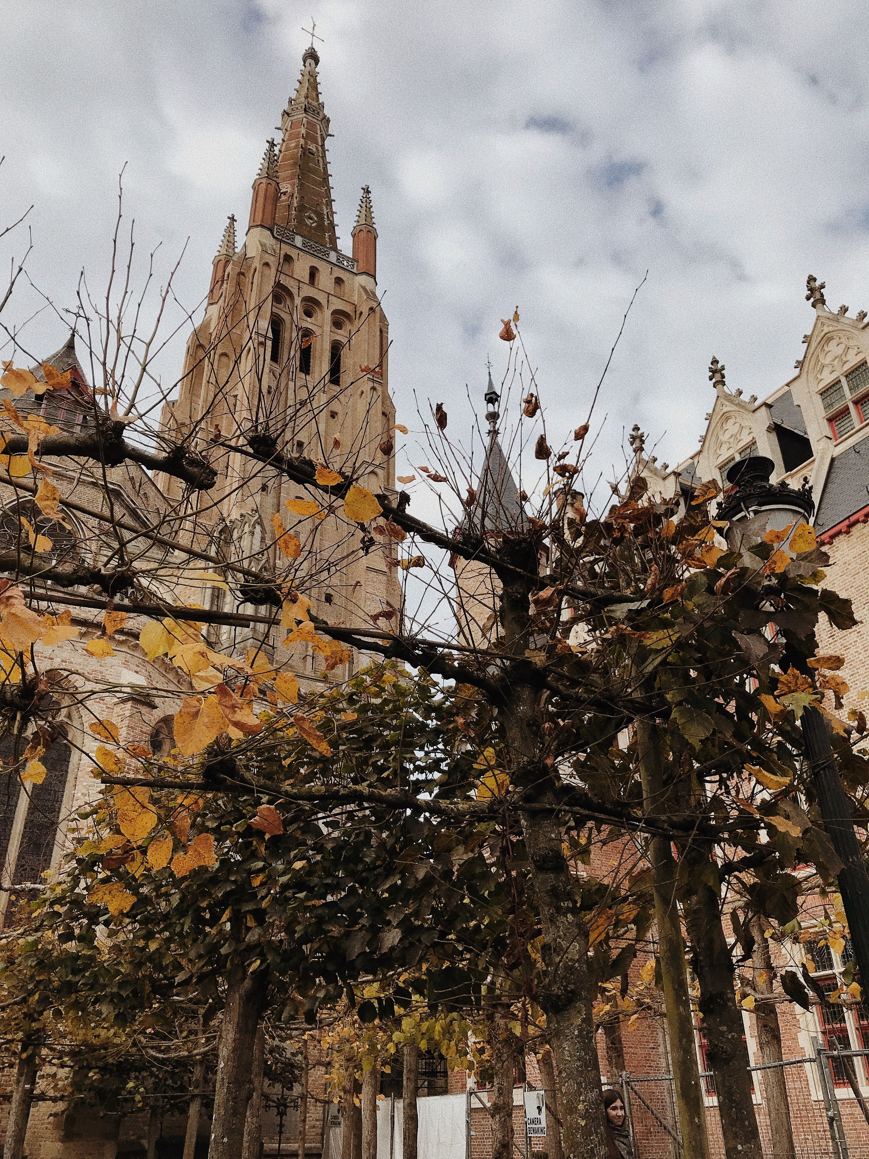 3024x4032   Бельгия. Брюгге фотография. Обои для телефона! | Обои для телефона Обои Фотография