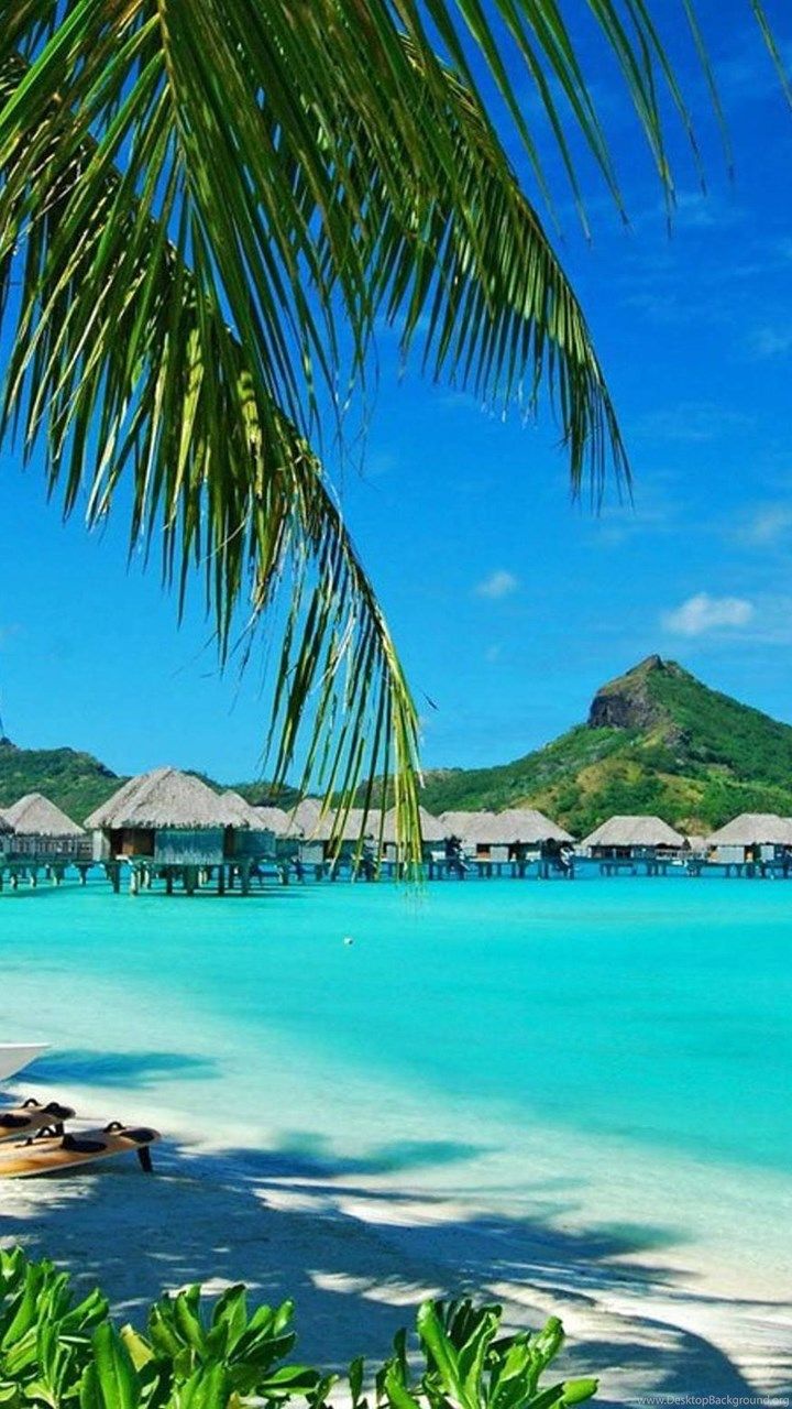 720x1280  Bora Bora Beach Wallpapers - Лучшие бесплатные фоны Bora Bora Beach - WallpaperAccess