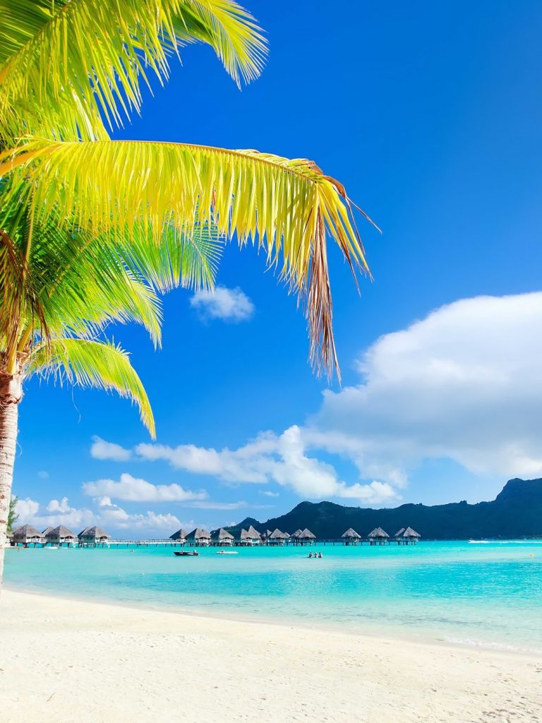 768x1024   Bora Bora iPad Wallpapers - Лучшие бесплатные обои для iPad Бора-Бора - WallpaperAccess 