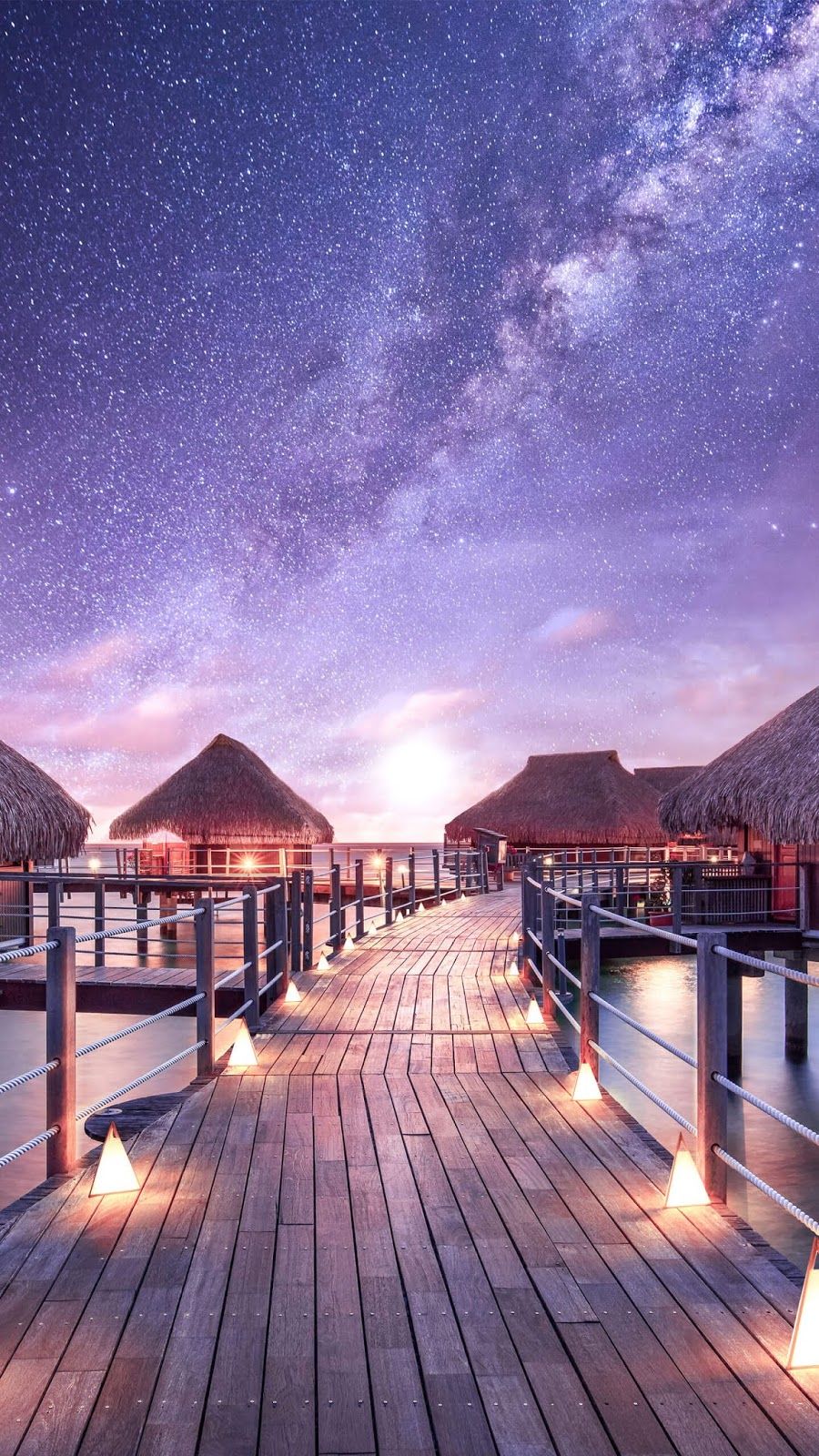 900x1600  I Kissed A Westie T-Shirt Hoodie | Красивые обои Картинки Самые красивые обои