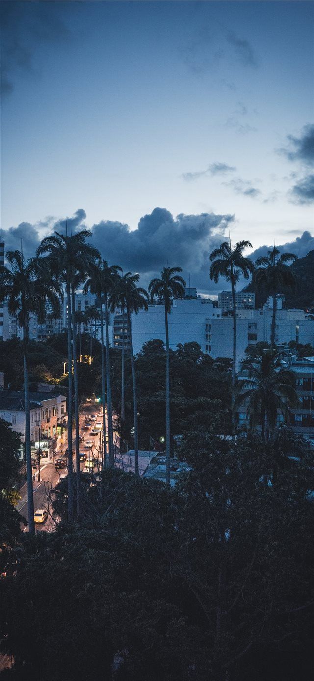 640x1385  Sunset in Rio iPhone X wallpaper #android #brazil #palmtree #unsplash #androidwallpap … | Обои для чата WhatsApp Бесплатные обои фоны Обои для рабочего стола images