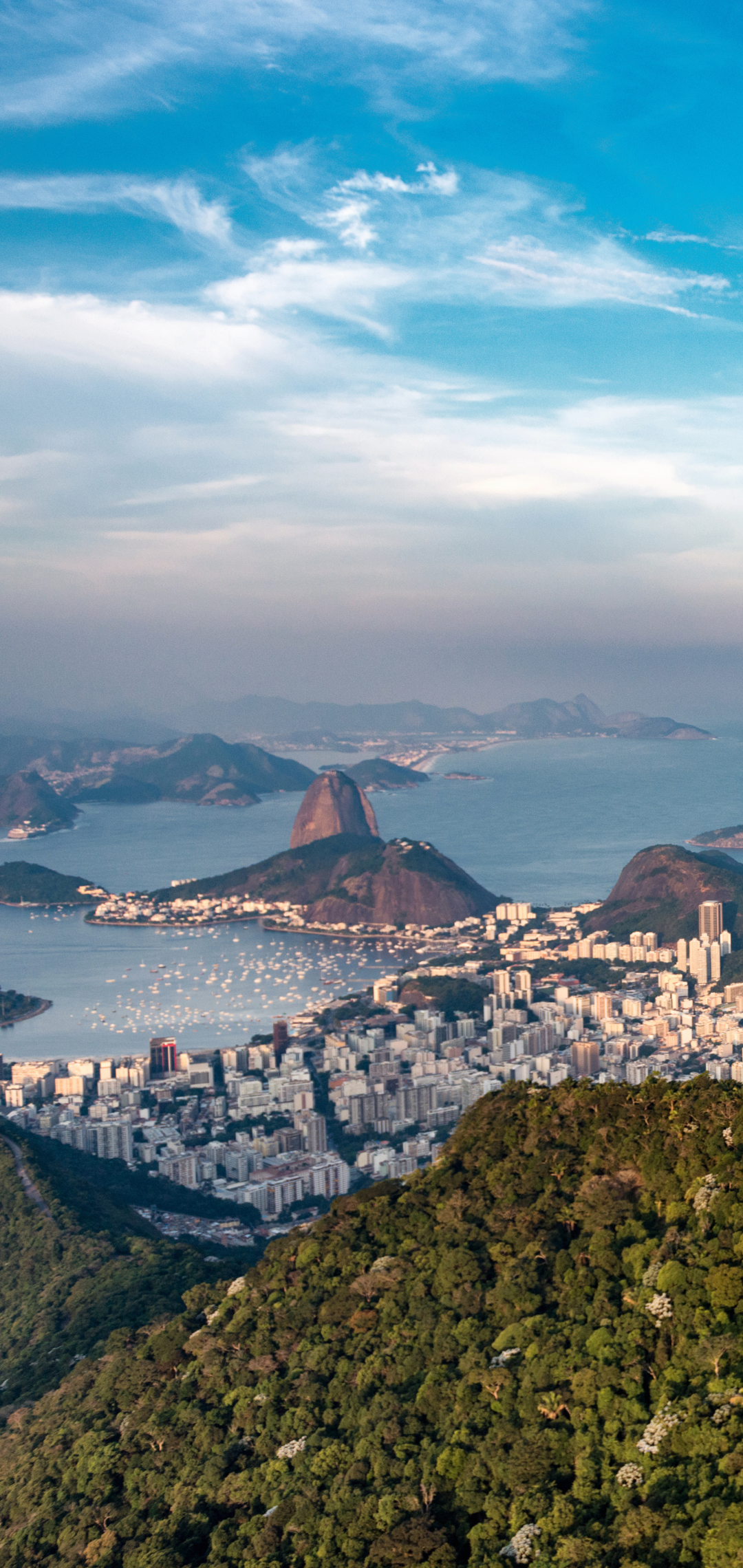 1080x2280   Man Made / Rio De Janeiro (1080x2280) ID обоев: 779468 - Mobile Abyss