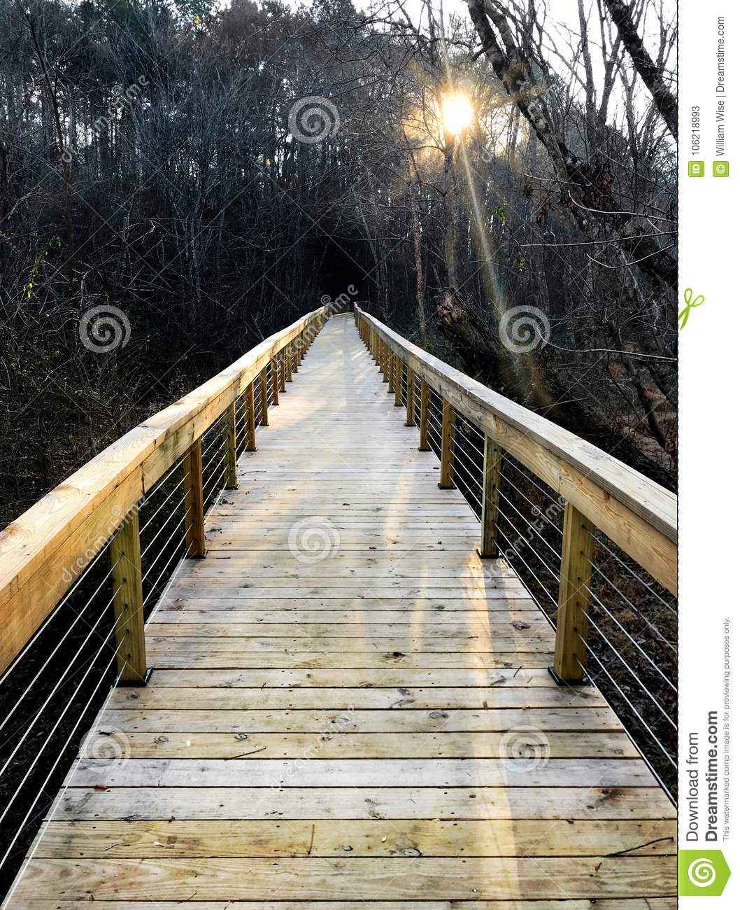 1058x1300  Foot Bridge Boardwalk On Hiking Trail Iphone Wallpaper Stock Image - Изображение в стиле телефона: 106218993