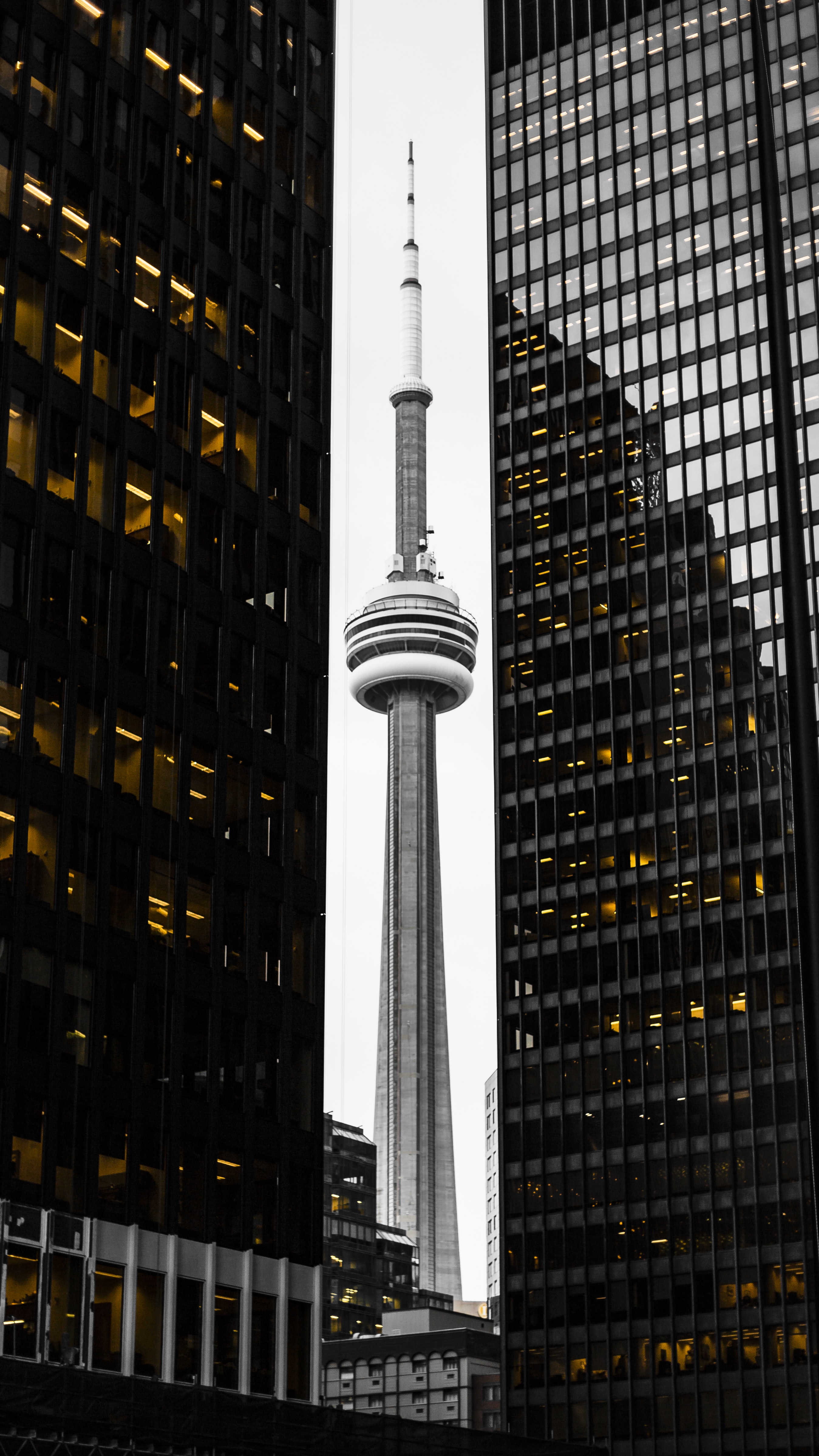 2698x4796  Бесплатные стоковые фотографии здания CNTower phone wallpaper