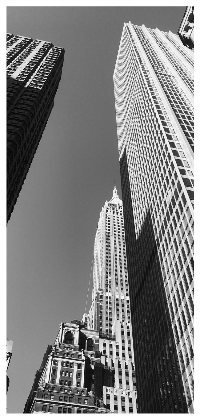 650x1361   Обои для мобильного телефона для высотных зданий фоновые изображения скачать бесплатно-400426922 -Lovepik.com 