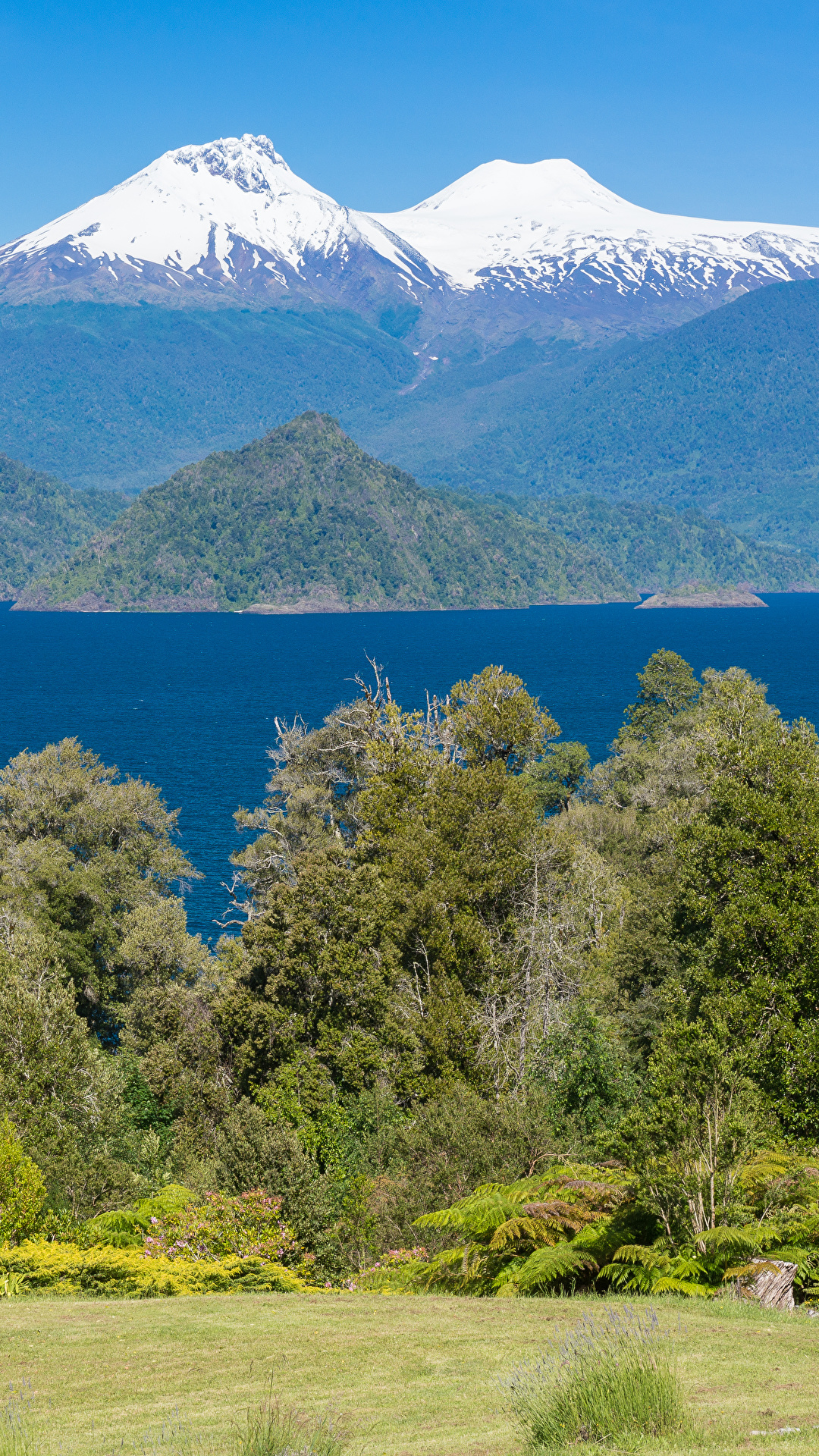 1080x1920   Обои Чили Национальный парк Конгуиллио Природа Горы 1080x1920