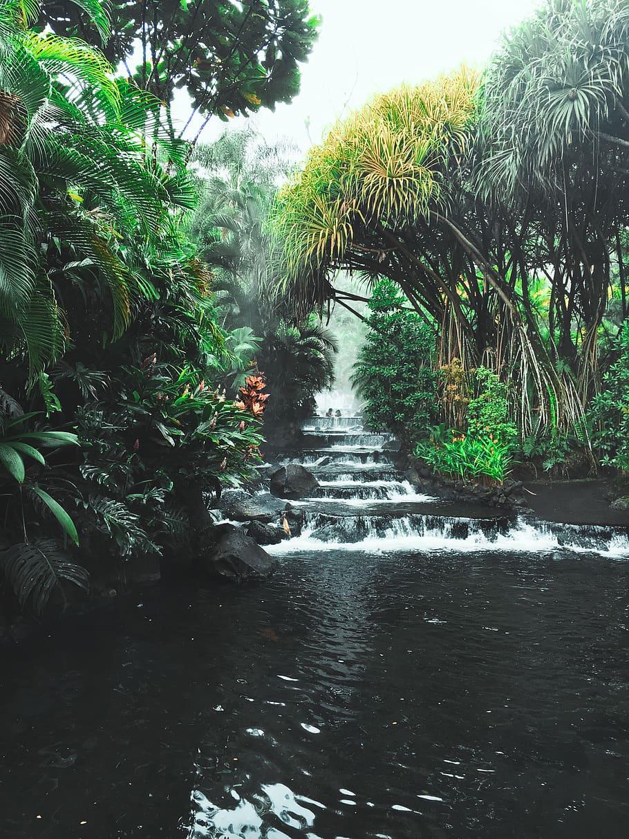 910x1213  Costa Rica Phone Wallpapers - Wallpaper Cave