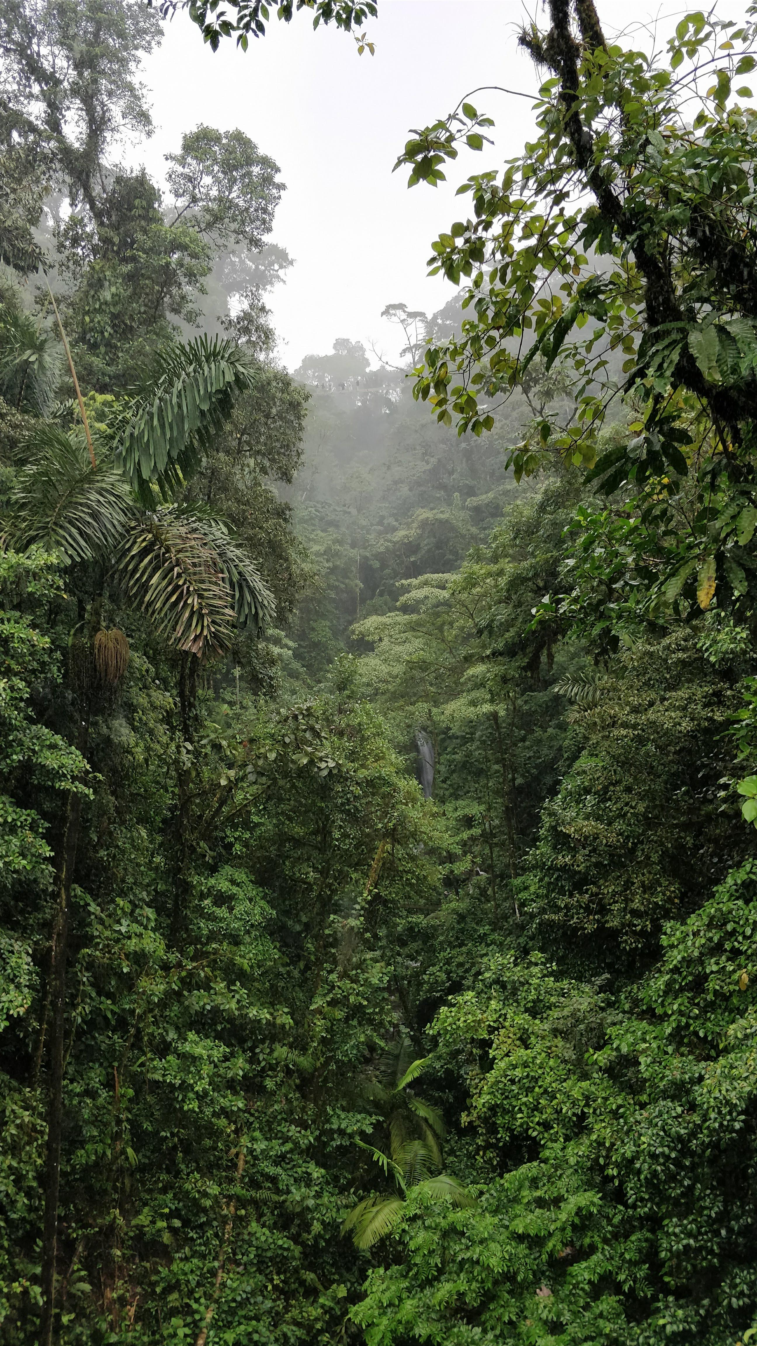 2592x4608  Cost Обои для iPhone - Лучшие бесплатные фоны для iPhone в Коста-Рике - WallpaperAccess