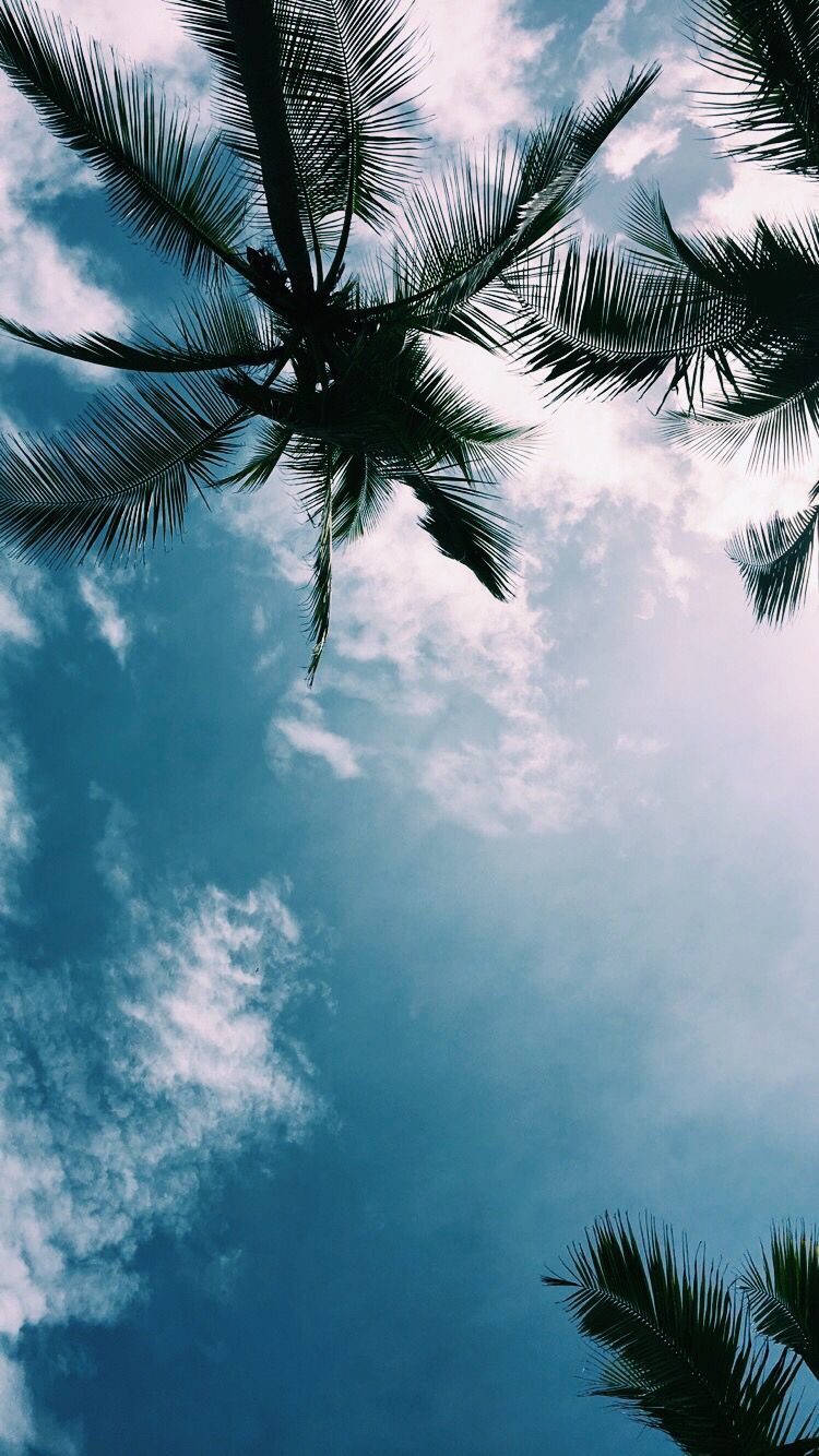 750x1334  Beach vibes Коста-Рика | Обои для рабочего стола Фотографии Обои для телефона 