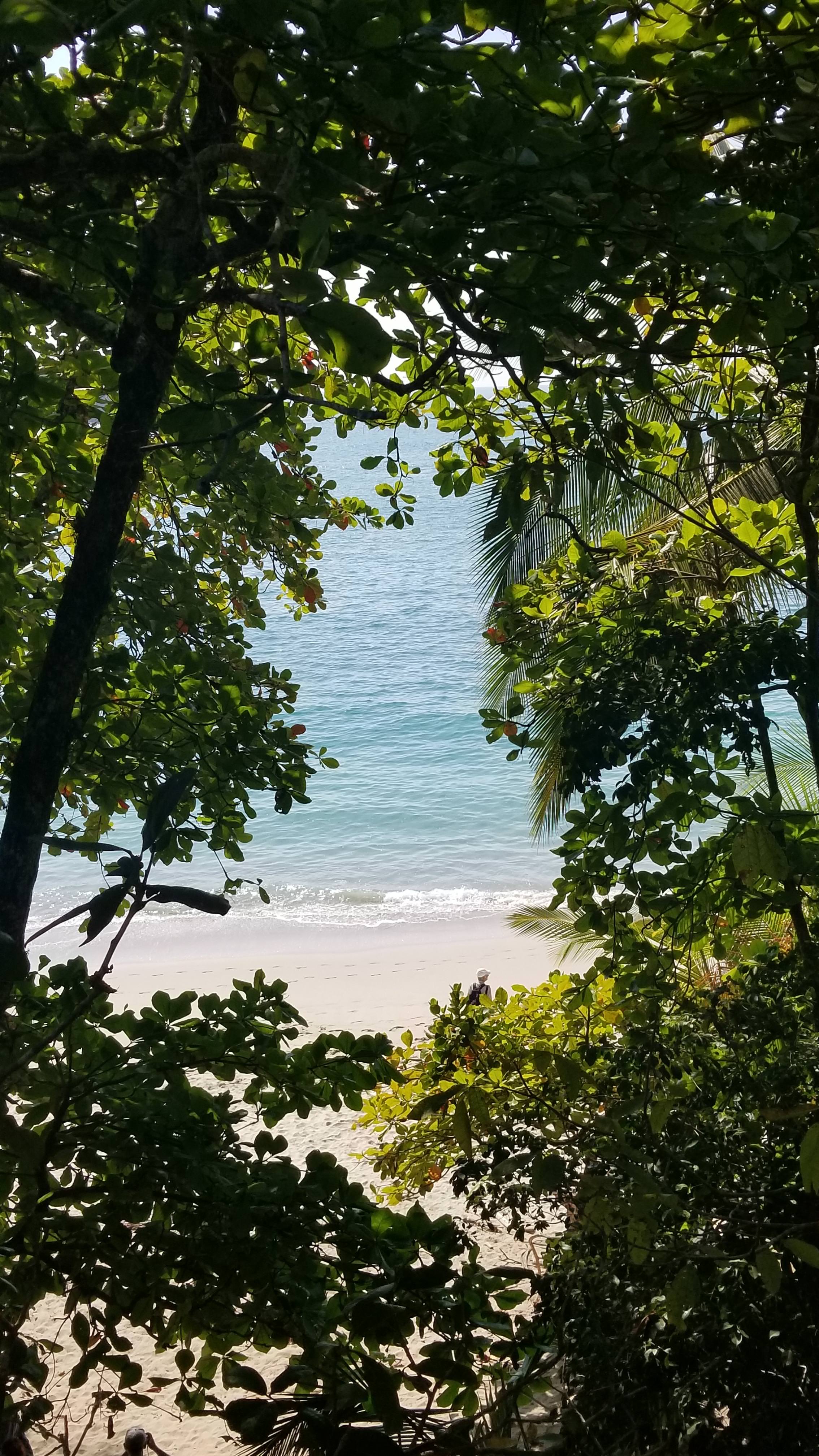 2268x4032   Вот фотография, которую я сделал в Коста-Рике, которая делает отличные обои для телефона, так что некоторым из вас это понравится! - Альбом на Imgur 