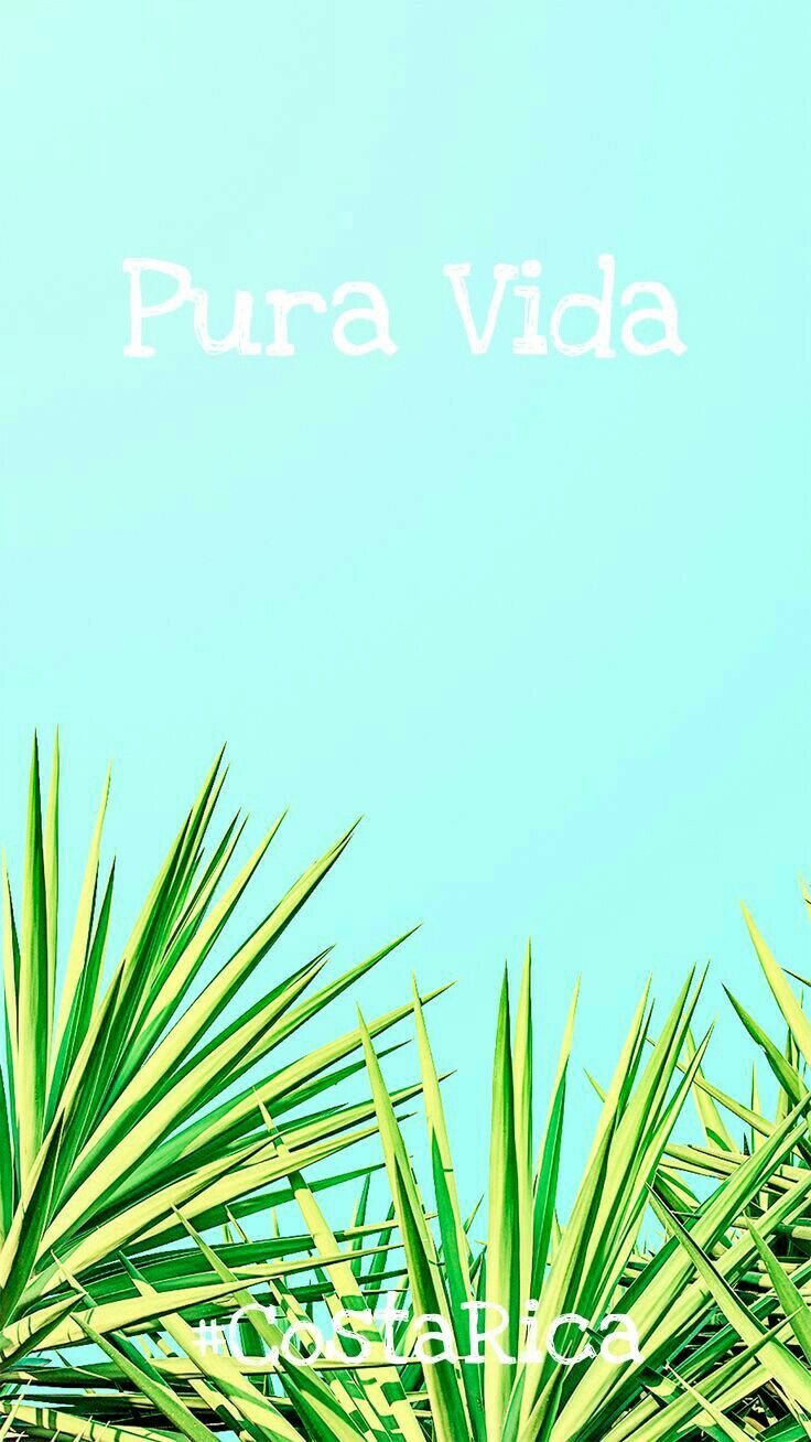 736x1308  Pura vida costa rica✌ | Обои iphone лето Летние обои Минималистичные обои