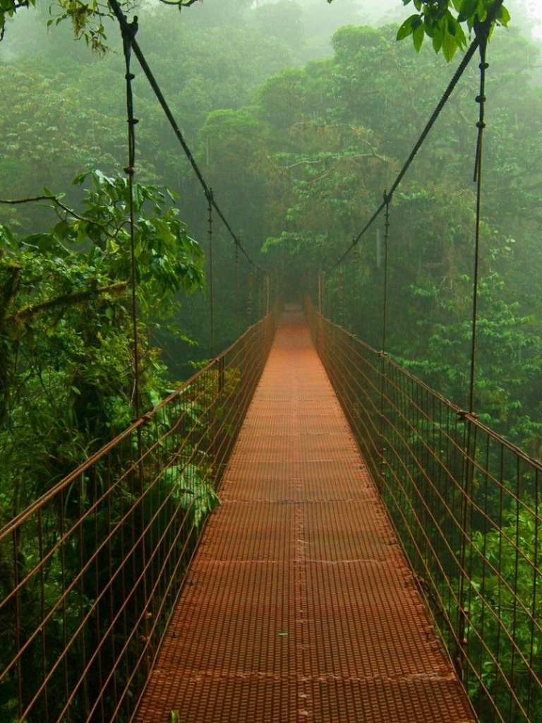 768x1024   Бесплатно скачать обои Коста-Рика Лучшие фоны Коста-Рики [1920x1080] для рабочего стола Мобильный \ u0026 планшет | Изучите 48+ обоев Коста-Рика | Коста-Рика Обои Флаг Коста-Рики Обои Коста-Рика