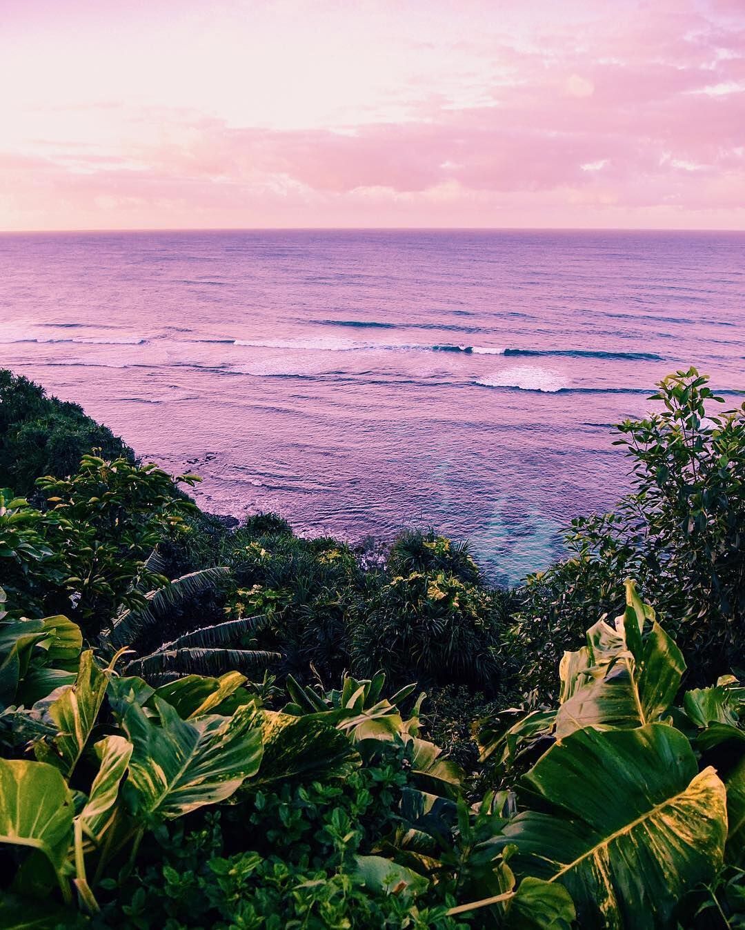 1080x1348   Pura Vida Bracelets x @katgaskin #livefree #puravidabraclets #tropics #tropical # paradise | Фотографии природы Удивительная природа Поездки на каникулах