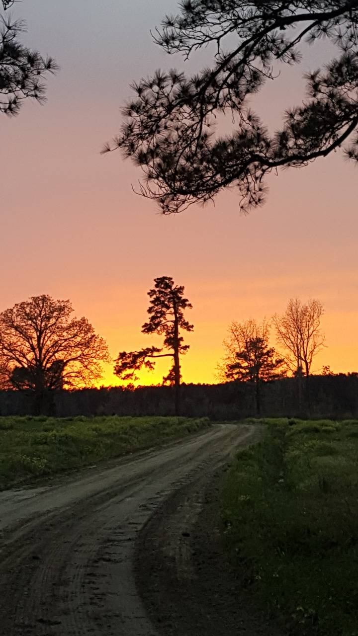 720x1280   Деревенские закаты обои - Лучшие бесплатные фоны заката в сельской местности - WallpaperAccess