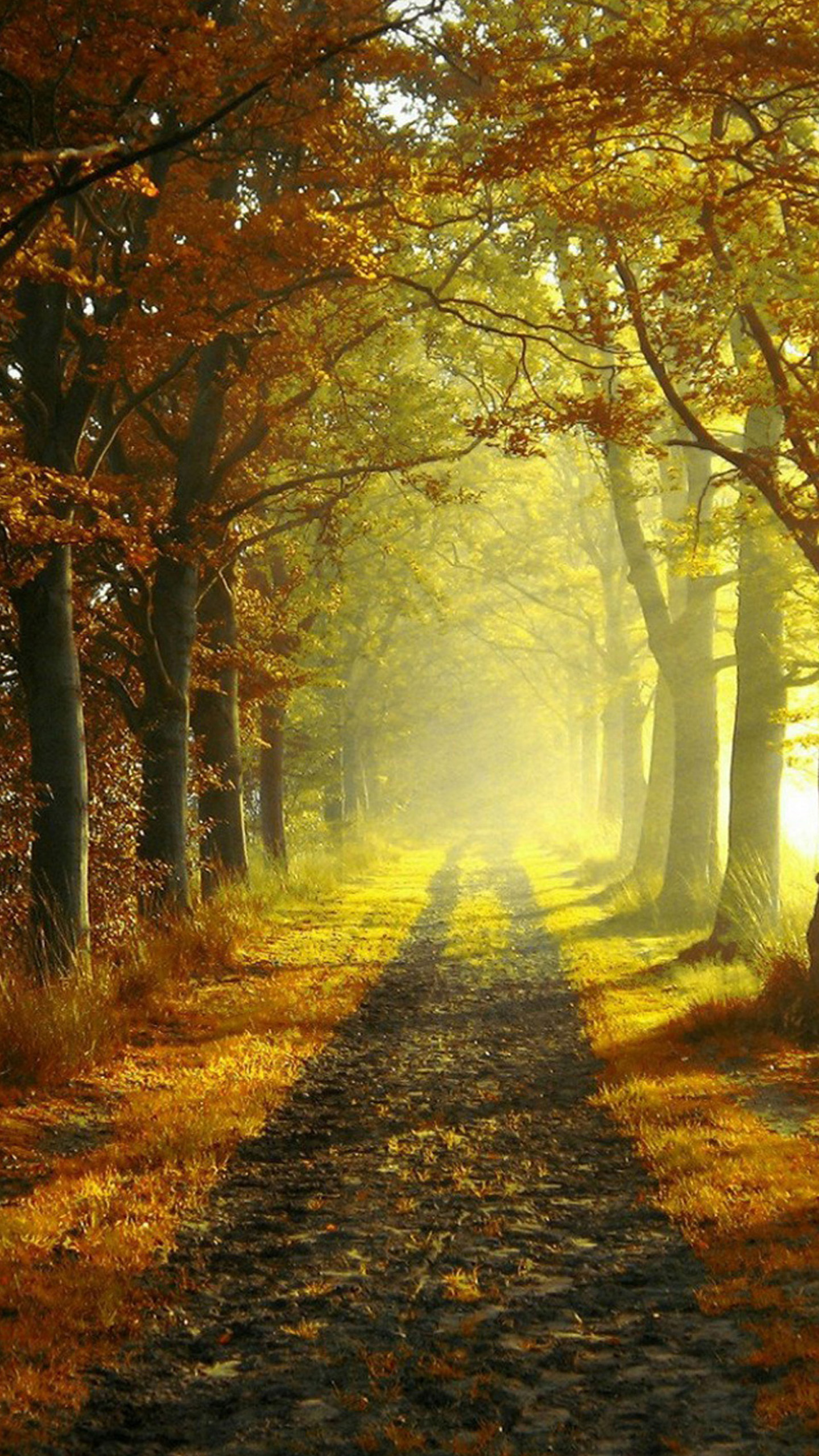 1440x2560  Country Wallpapers Group (86 +) 