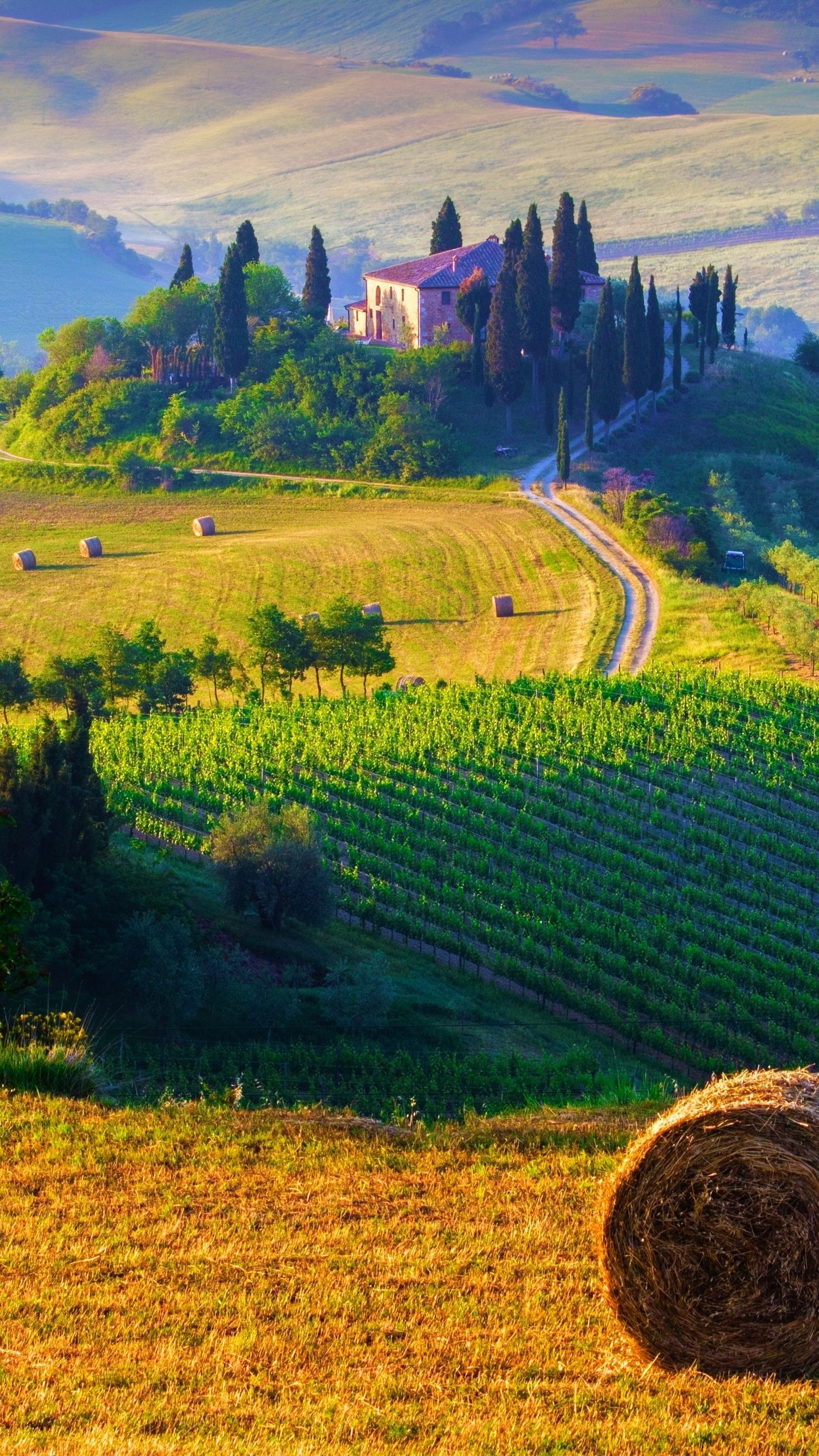 1771x3150   Tuscany Italy Wallpapers - Wallpaper Cave 