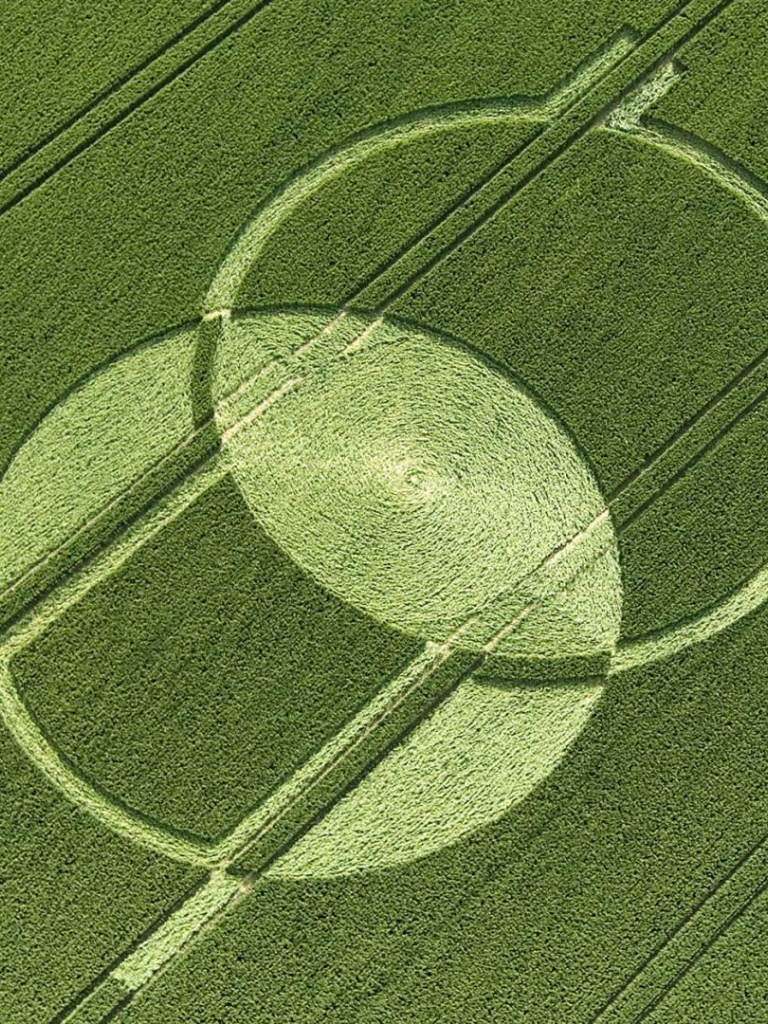 768x1024   30 Потрясающих кругов на полях и кукурузных лабиринтов, сфотографированных сверху 