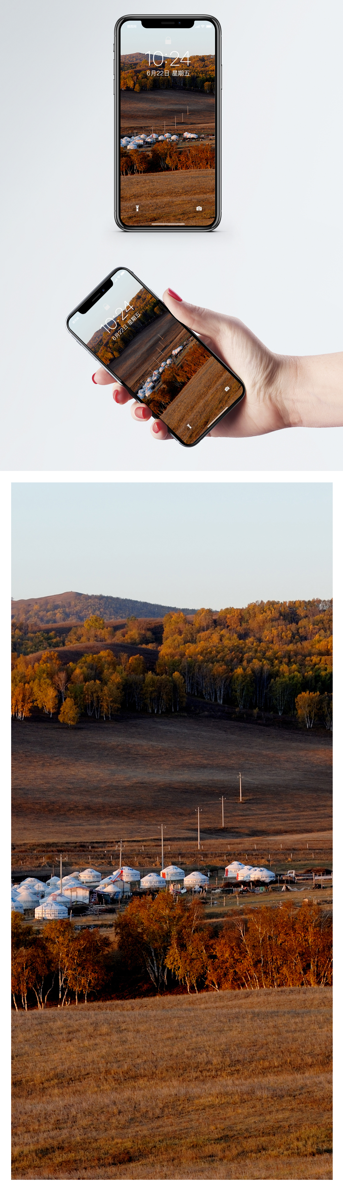 1200x4160   Обои для мобильного телефона с деревом на краю зеленого озера фоновые изображения скачать бесплатно-400291617 -Lovepik.com 