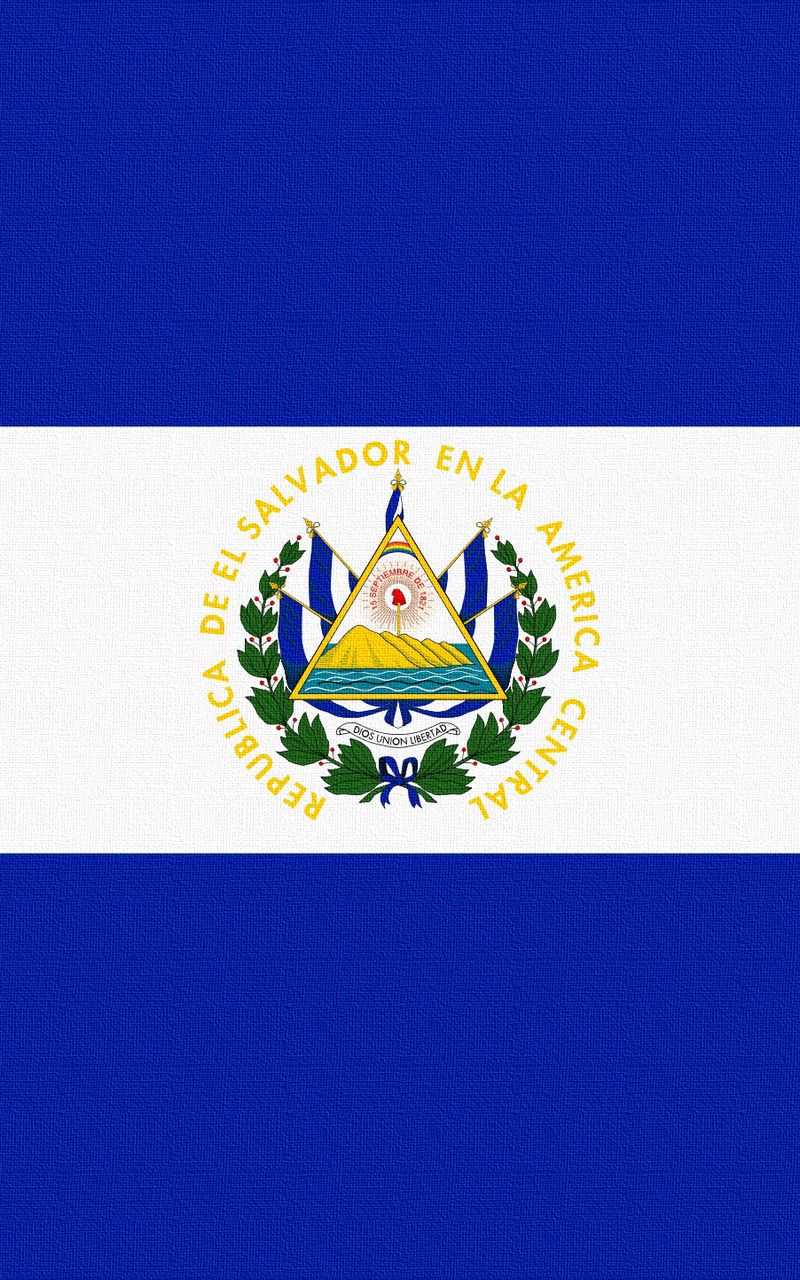 800x1280   Скачать обои 800x1280 флаг Сальвадор линии символы samsung galaxy note gt-n7000 meizu mx2 hd background