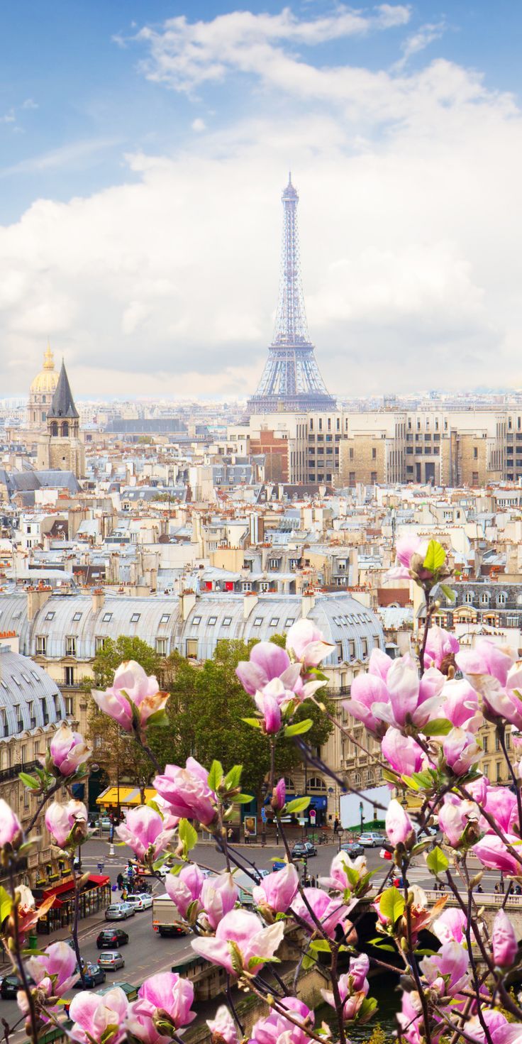 736x1471   Европа iPhone Обои - Лучшие бесплатные фоны для iPhone в Европе - WallpaperAccess