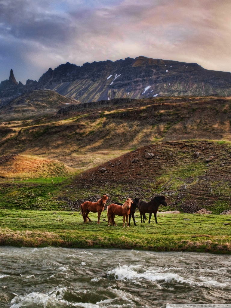 768x1024   Kirkjuffelsfoss-Iceland Purple-ish Aurora Borealis от Snorri Gunnarsson Обои для мобильного телефона 1200x1920