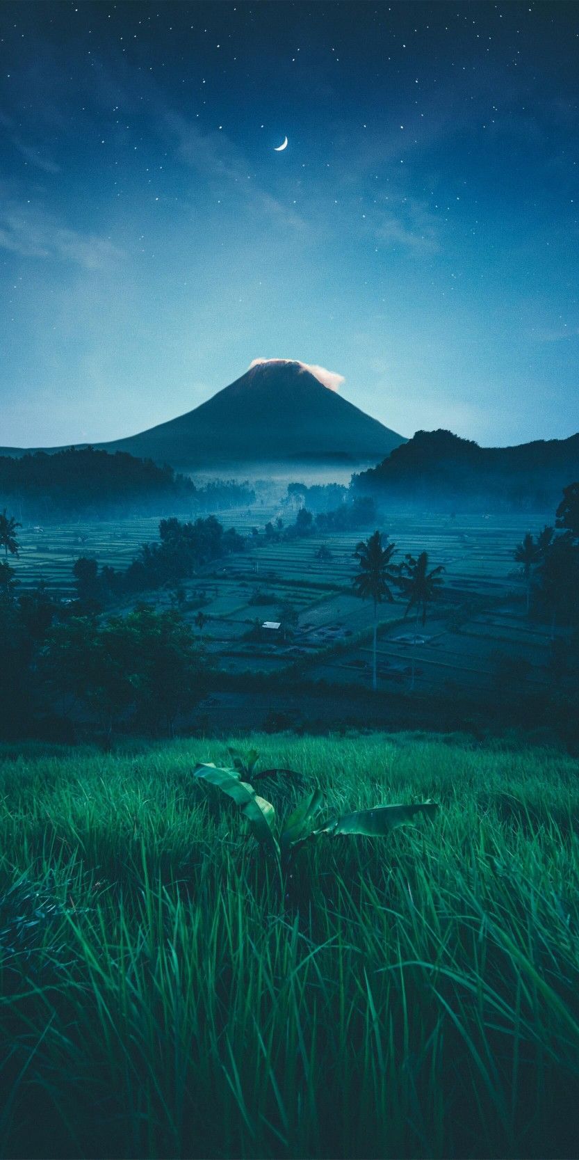 833x1667  Batik Android Wallpapers - Wallpaper Cave