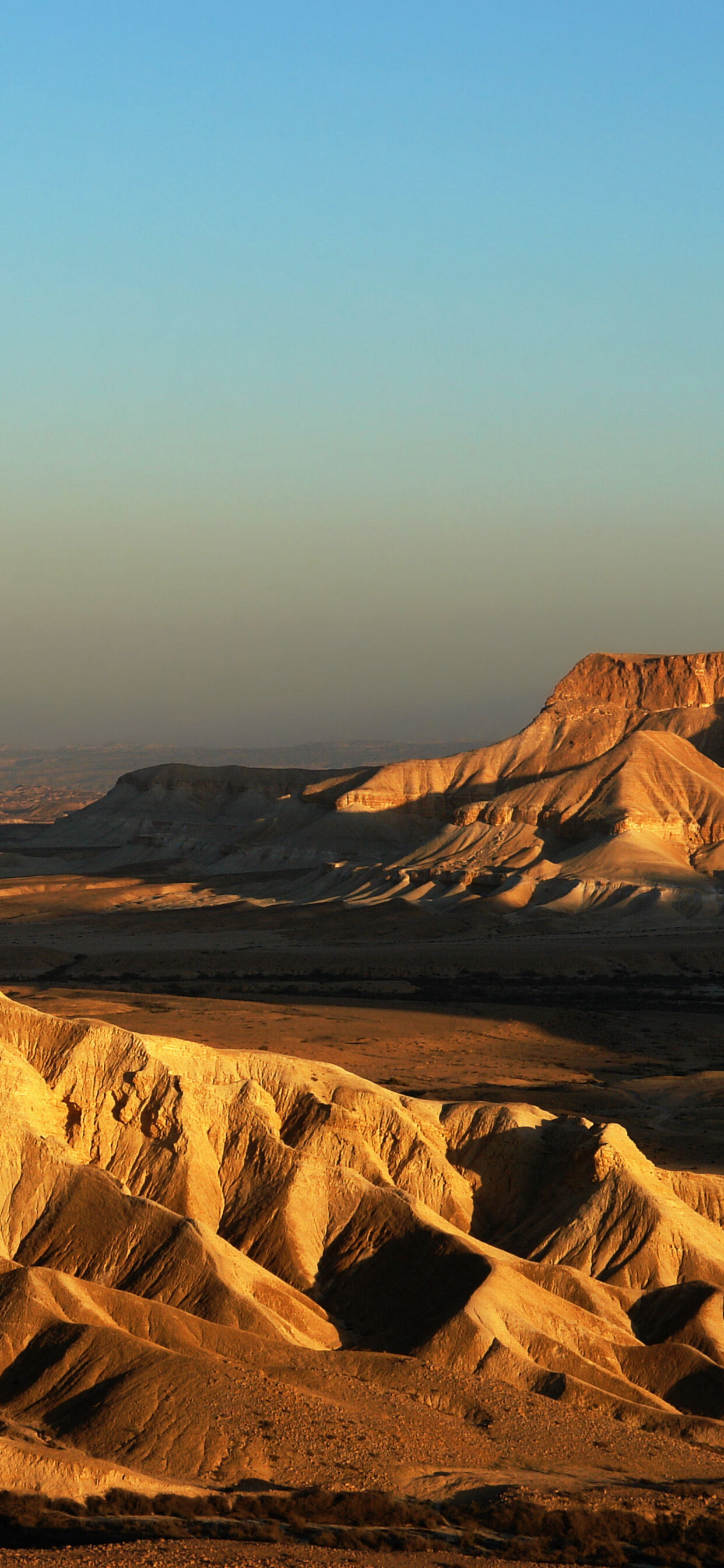 1242x2688 The Negev Israel Desert Wallpaper