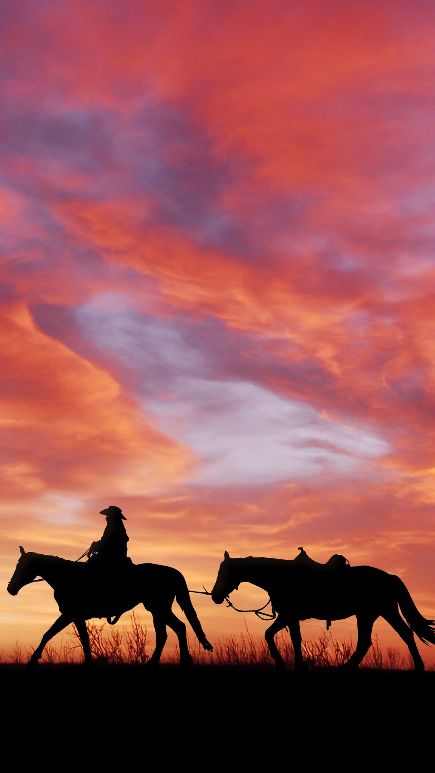 1440x2560  Wallpaper Cowboy - 1440x2560 - Скачать HD обои - WallpaperTip