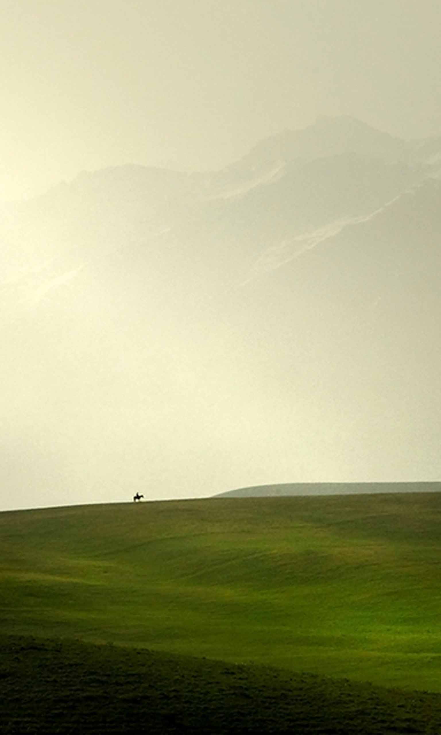 1536x2560  Cowboy Мобильные обои | Miniwallist