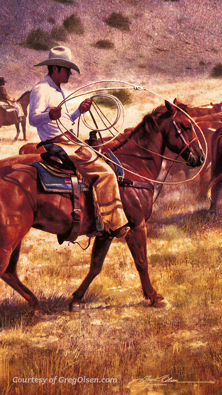 750x1334  Sports / Dallas Cowboys Mobile Wallpaper - Dallas Cowboys Jpg (# 71766) - HD Wallpaper \ u0026 Backgrounds Download