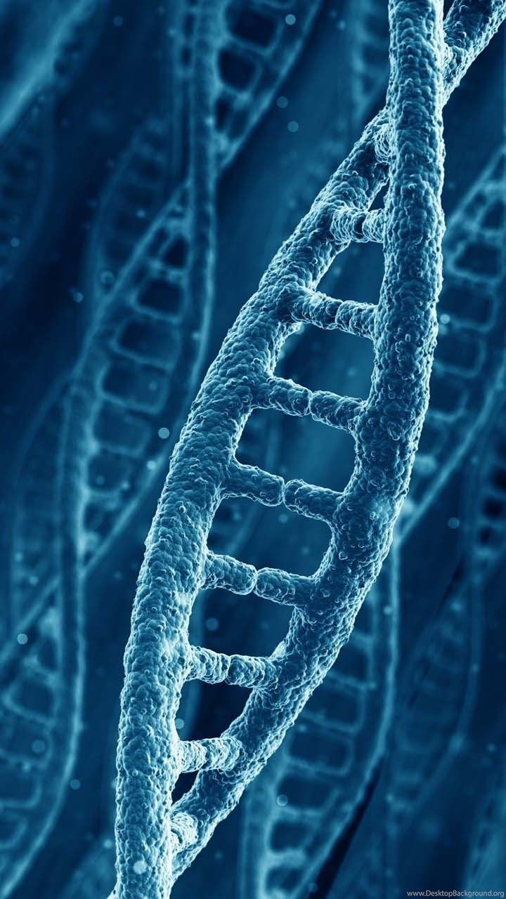720x1280   ДНК обои - Лучшие бесплатные фоны ДНК - WallpaperAccess