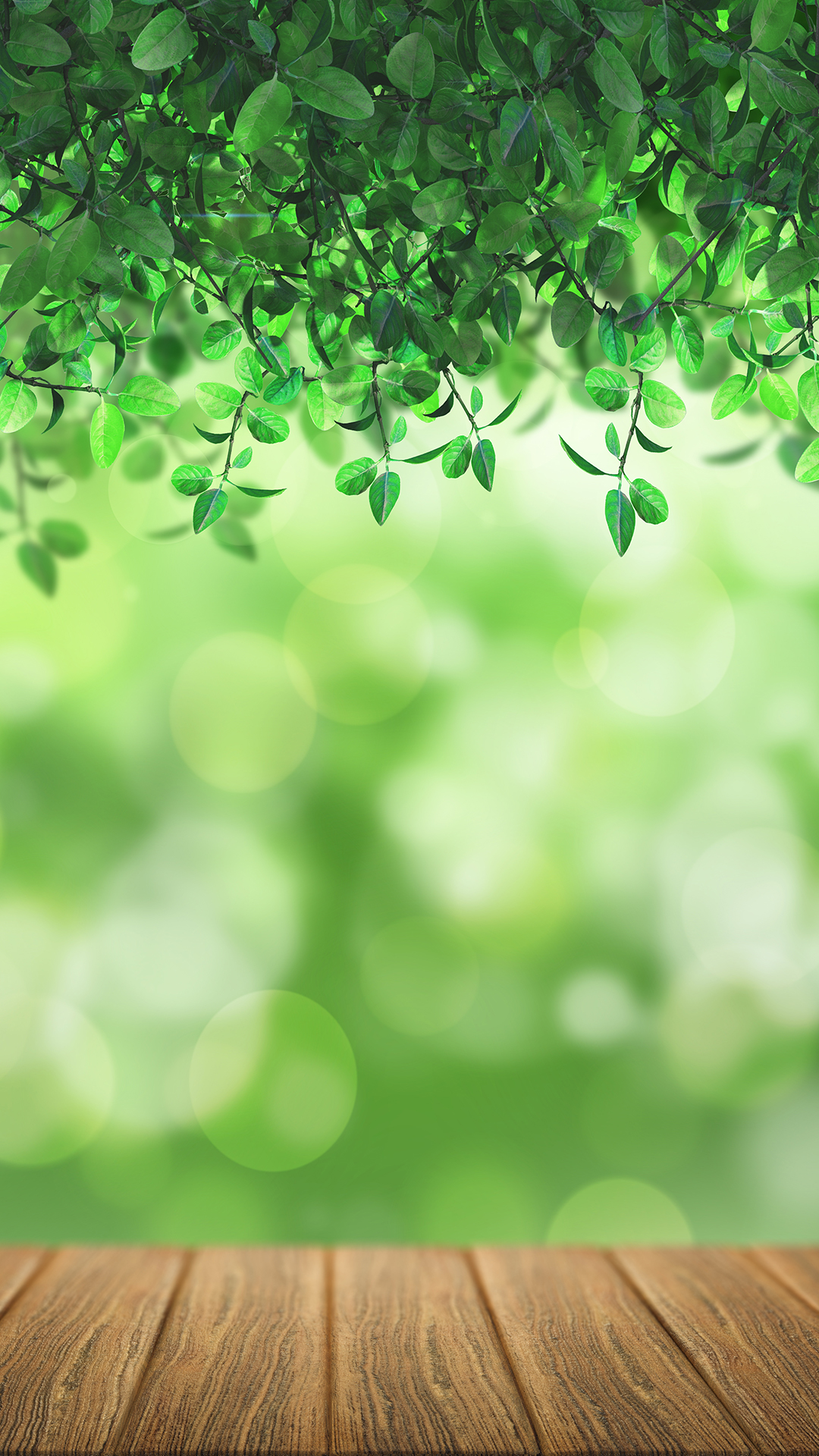 1080x1920  Free HD Nature Bokeh Phone Wallpaper ... 5547 