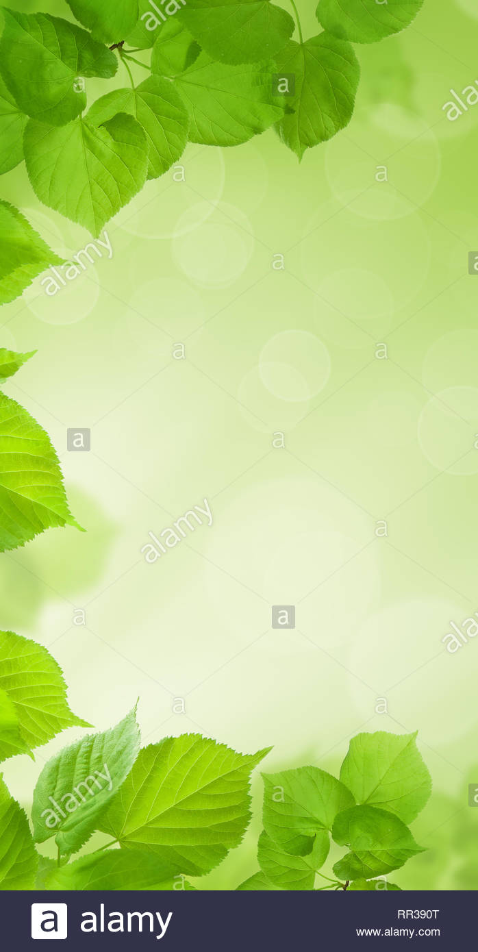 698x1390  Bokeh Векторное изображение - 1950439 | StockUnlimited