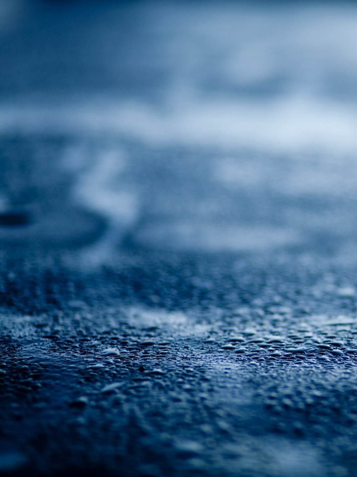 1200x1600  Autumn Leaf Macro android wallpapers