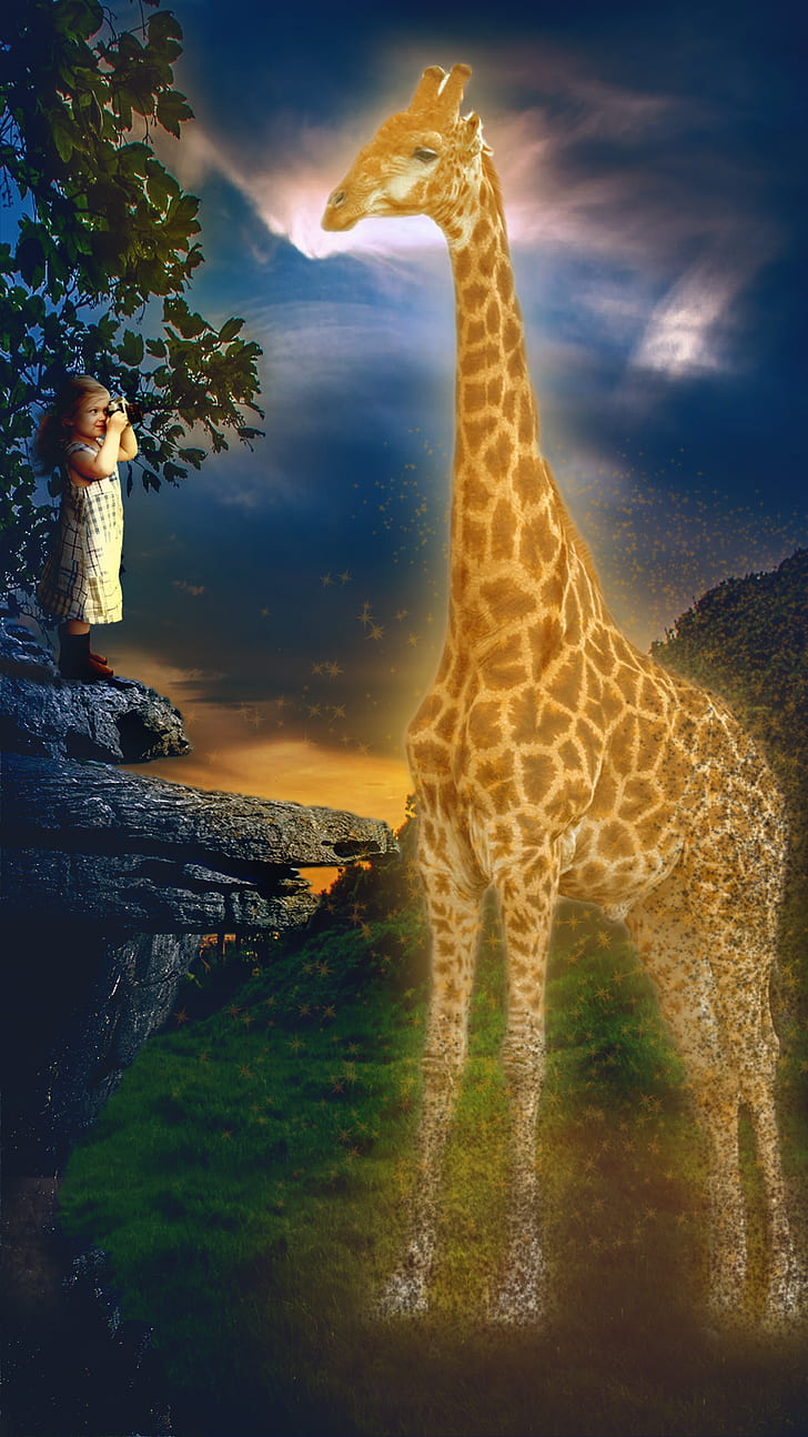 728x1294  HD обои: жирафы фэнтези арт мечтательная ночь фото манипуляция Photoshop | Обои Flare