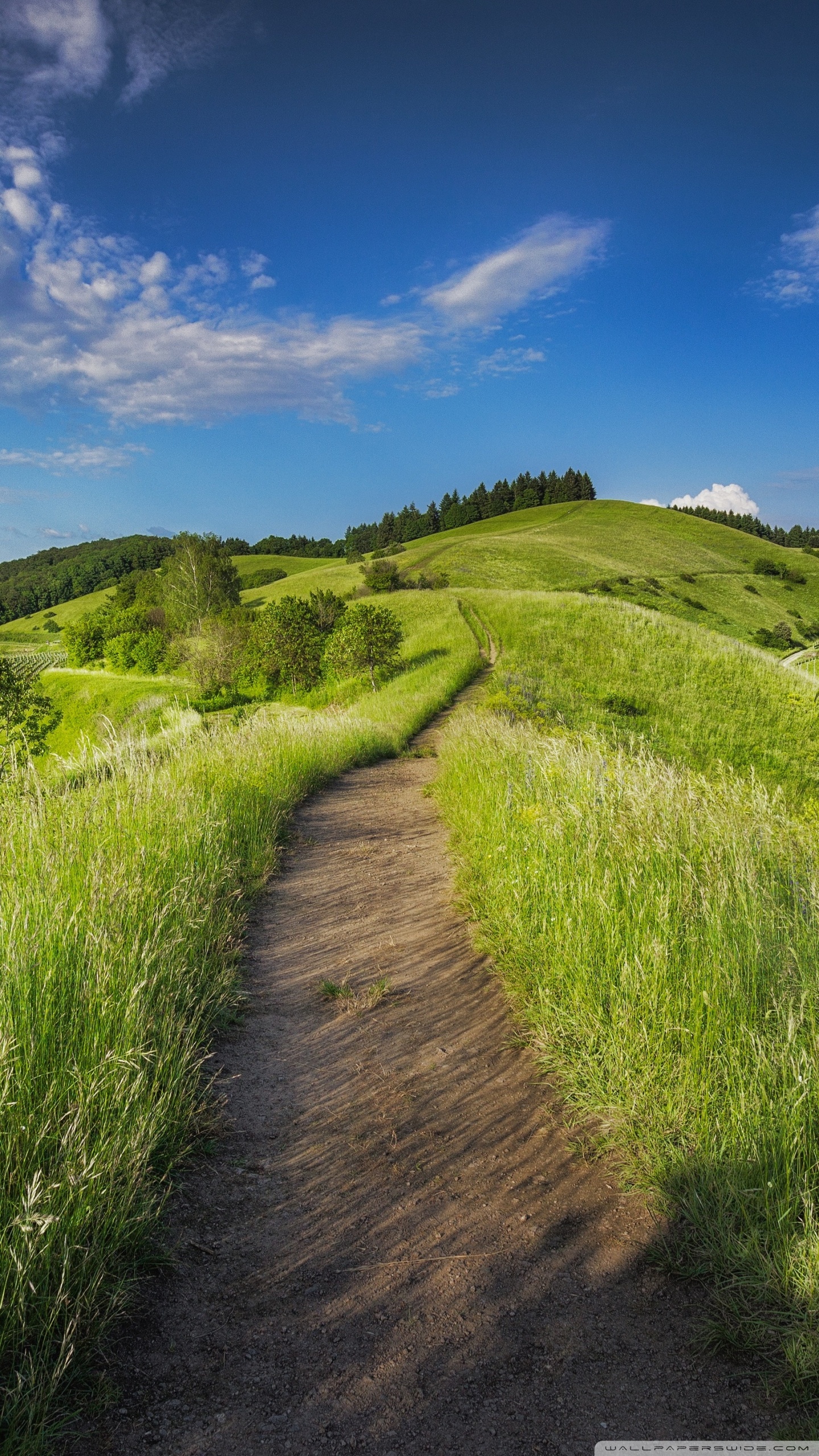 1440x2560   В Филадельфии всегда солнечно Обои | Moviemania 