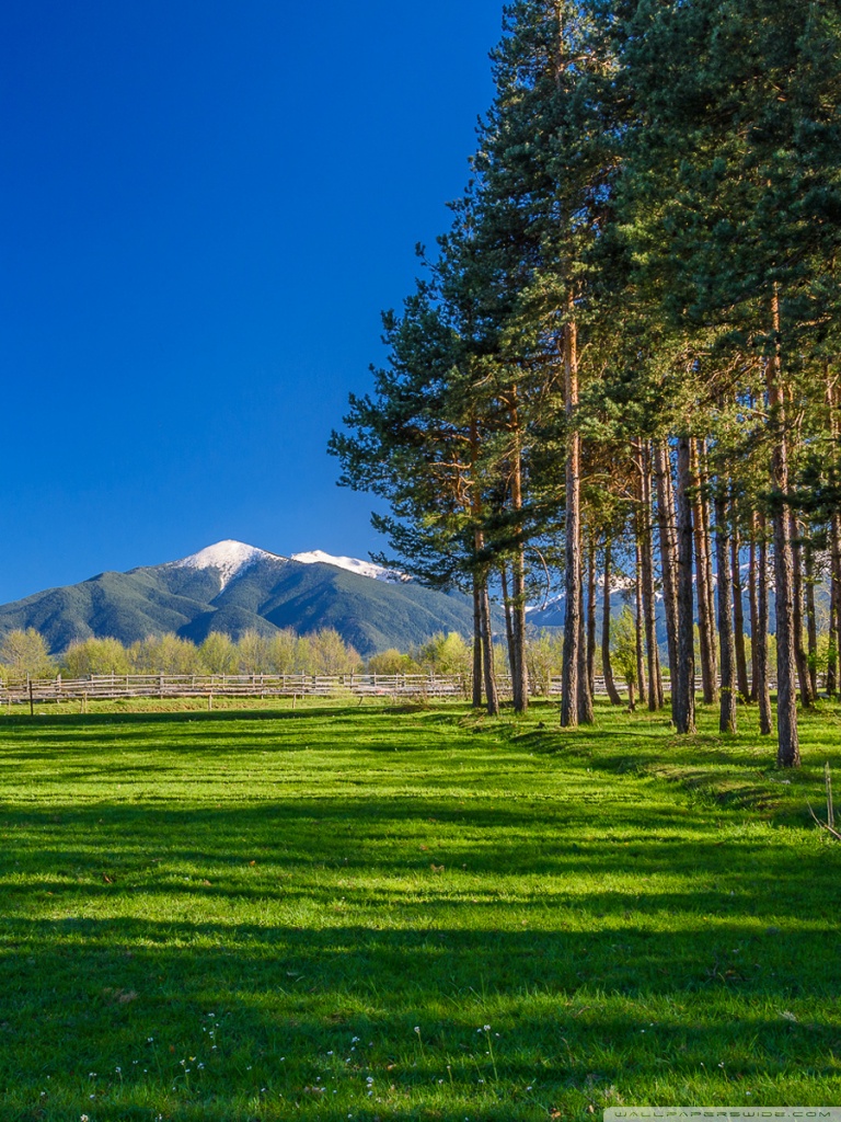 768x1024  Snowboard Пейзаж Обои для телефона Stock Image - Изображение солнечных обоев: 137814069