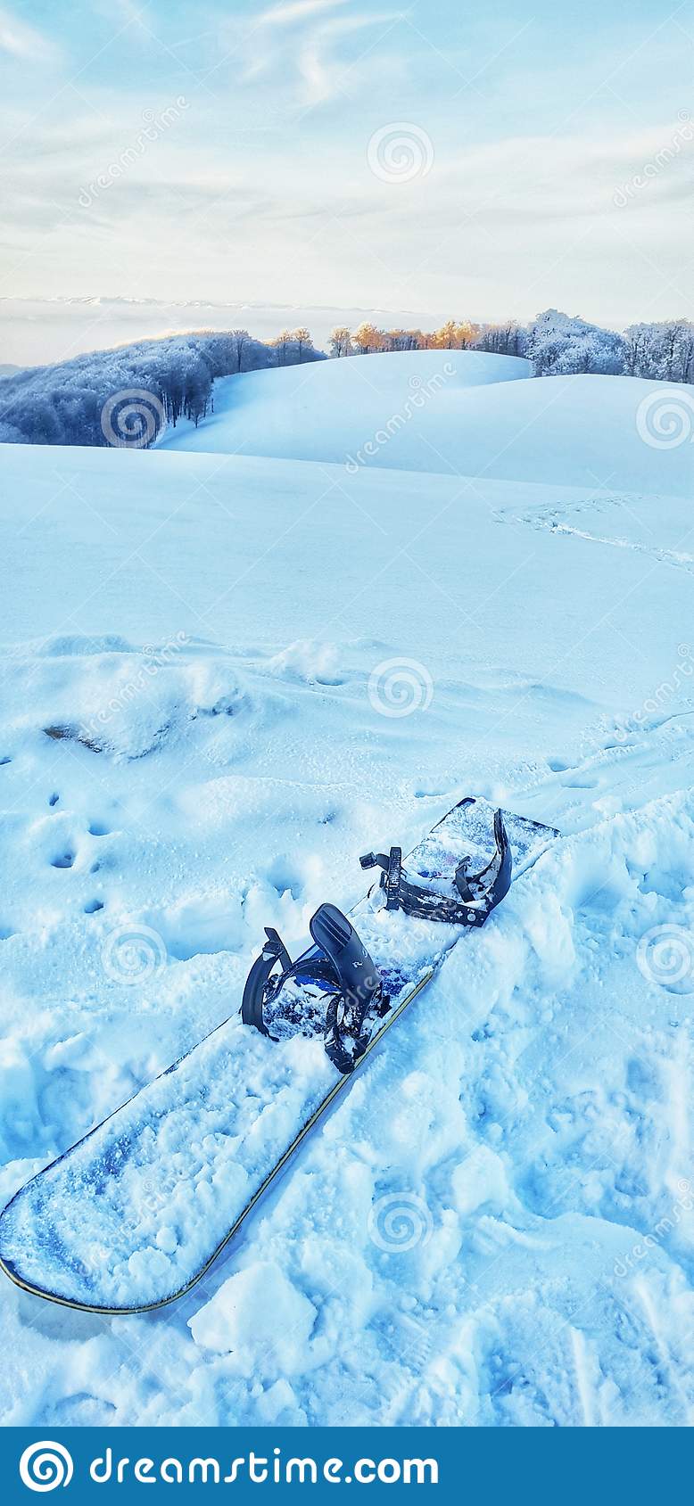 778x1689   One Piece Thousand Sunny Phone Wallpaper - Аниме обои HD