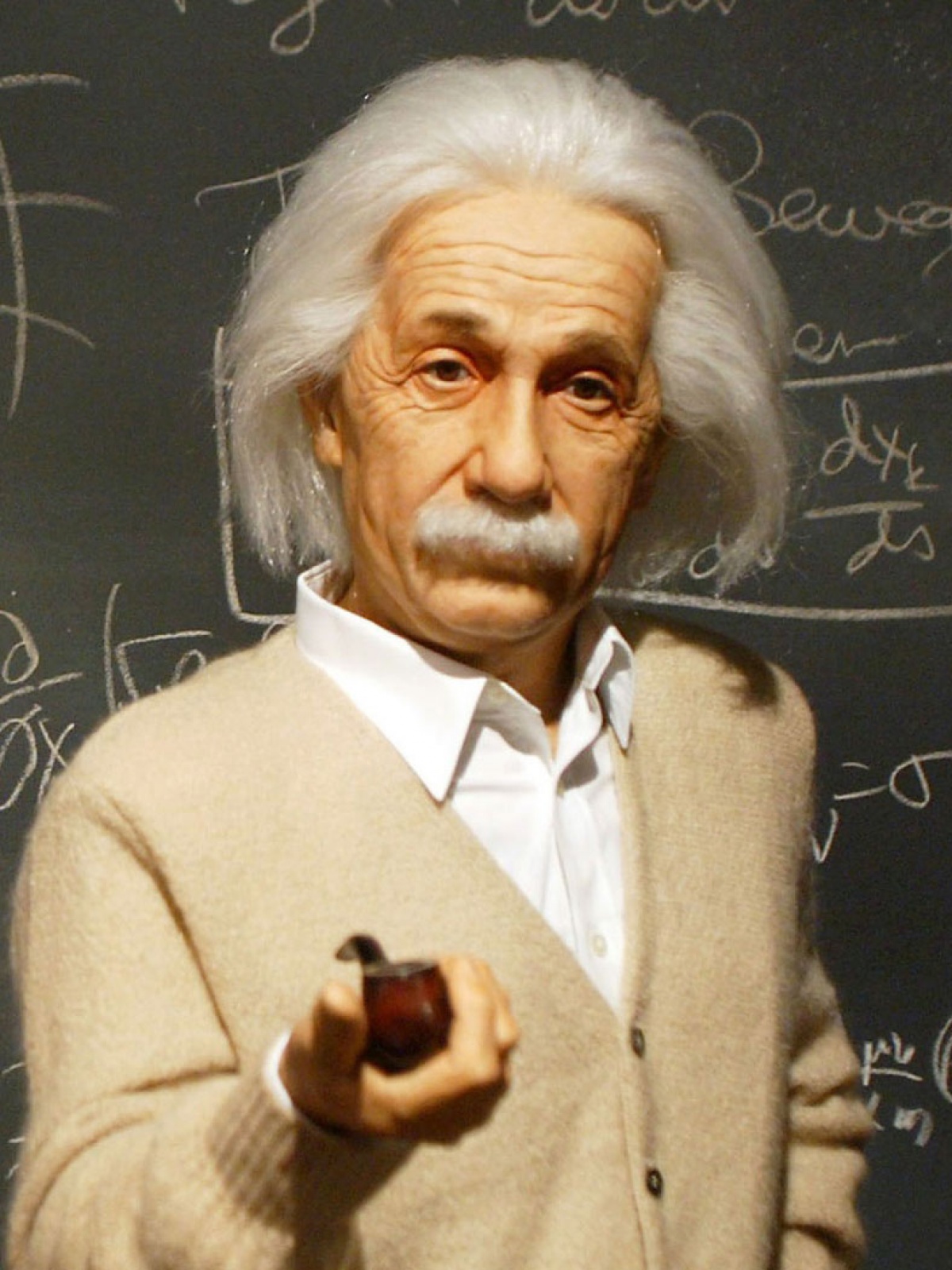 1200x1600  Albert Einstein - Обои 768x1200 - teahub.io 
