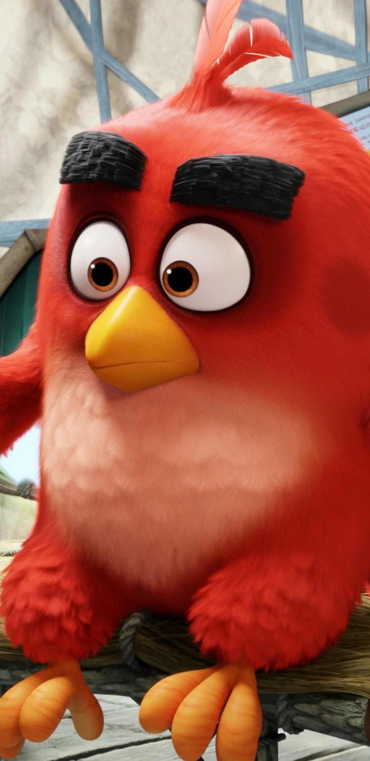 Angry birds обои на телефон