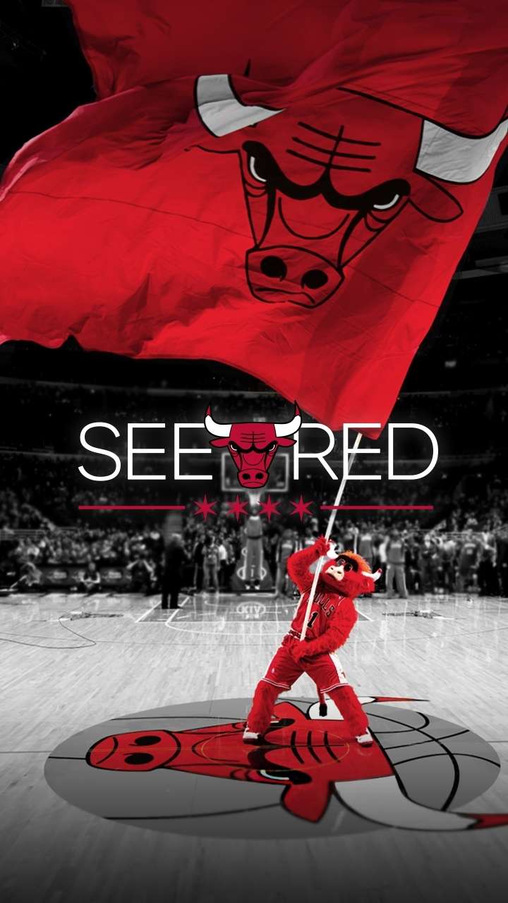 720x1280  Best 55+ Bulls Wallpaper на HipWallpaper | Обои для рабочего стола Chicago Bulls Swag Обои для рабочего стола Chicago Bulls и обои Bulls