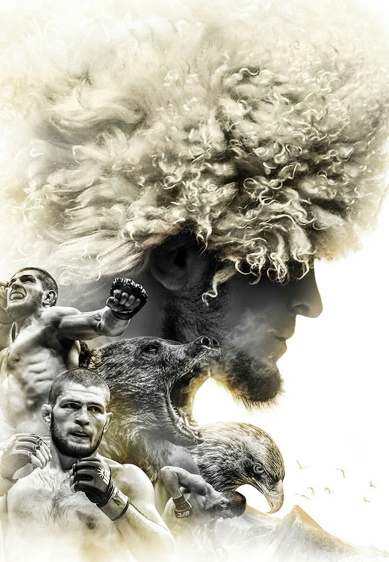 UFC Хабиб Нурмагомедов арт