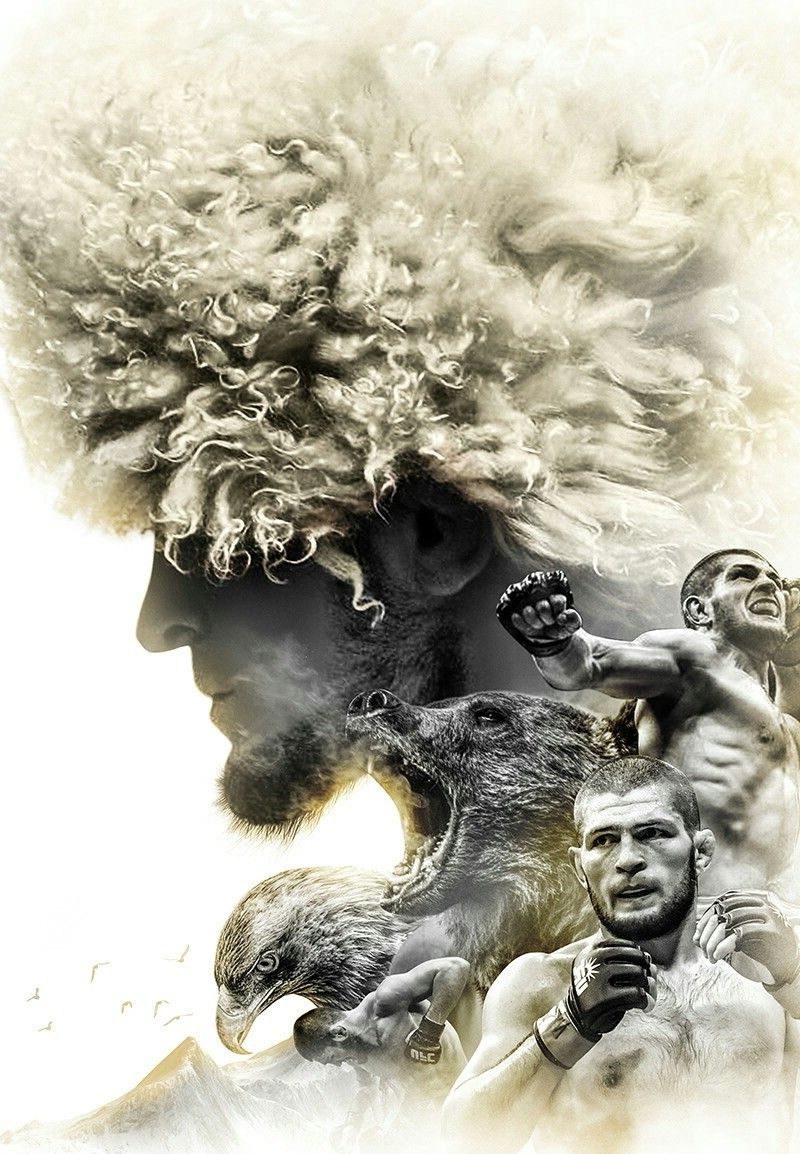 800x1154   Khabib Wallpaper - EnJpg