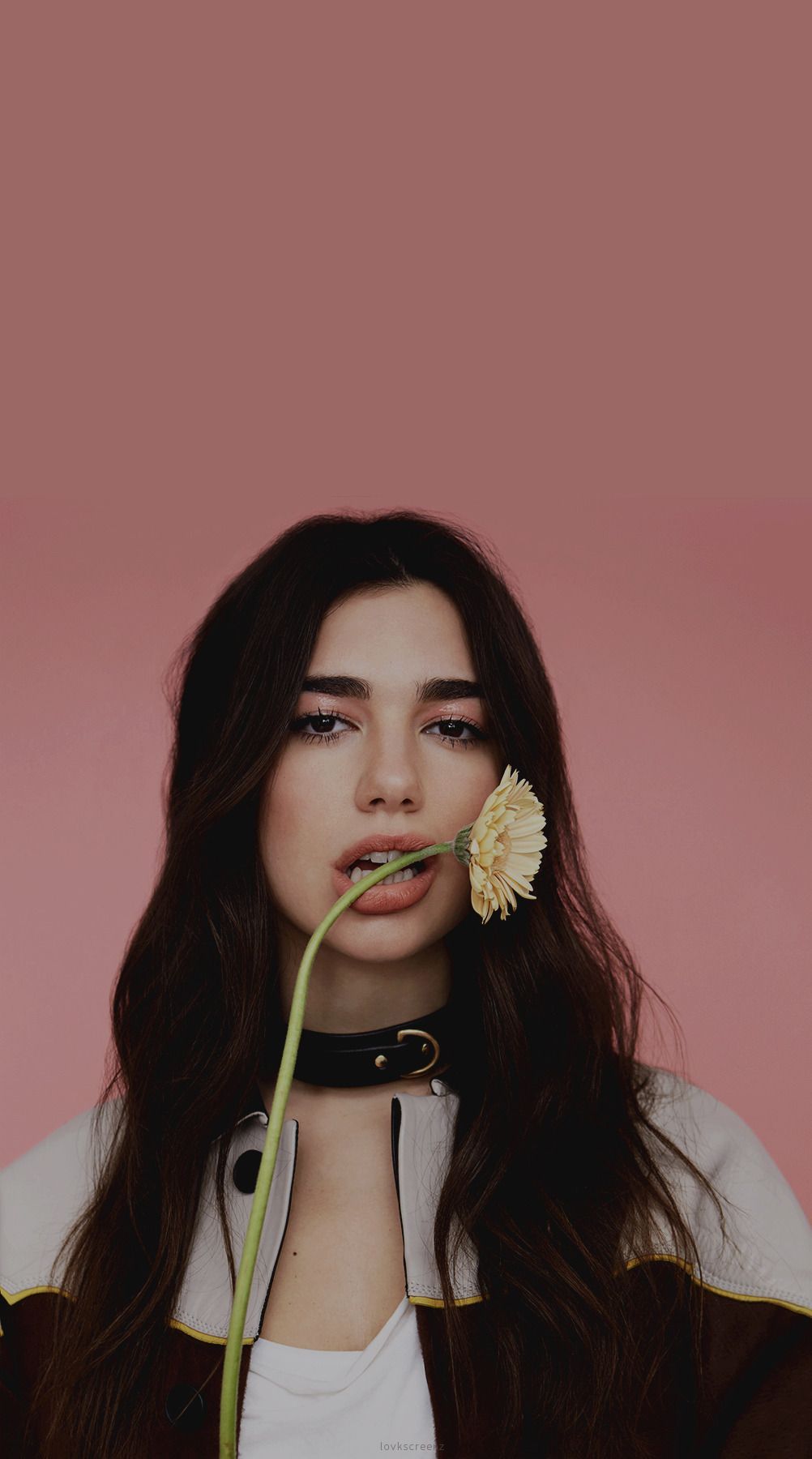 Dua lipa обои на телефон