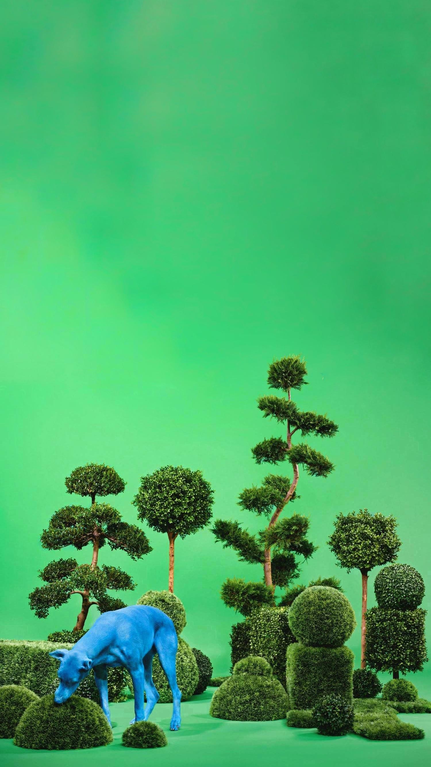 1500x2670   Snoop Dogg Обои | Острые обои Рэп обои Rappers